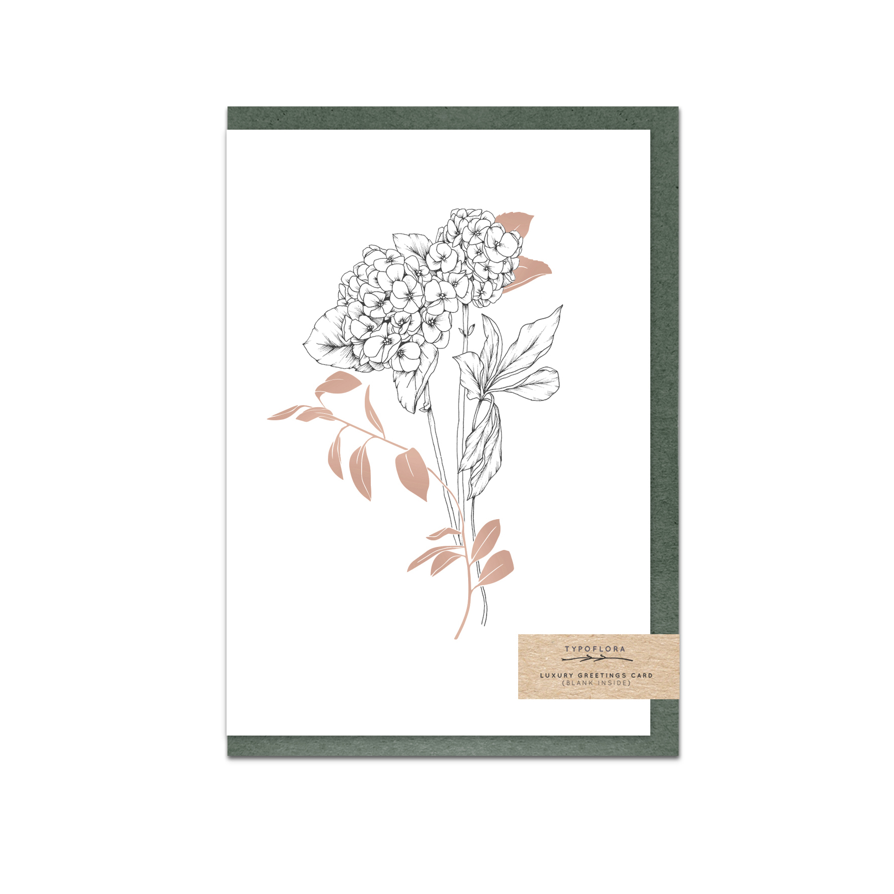 T1702_hydrangea.jpg