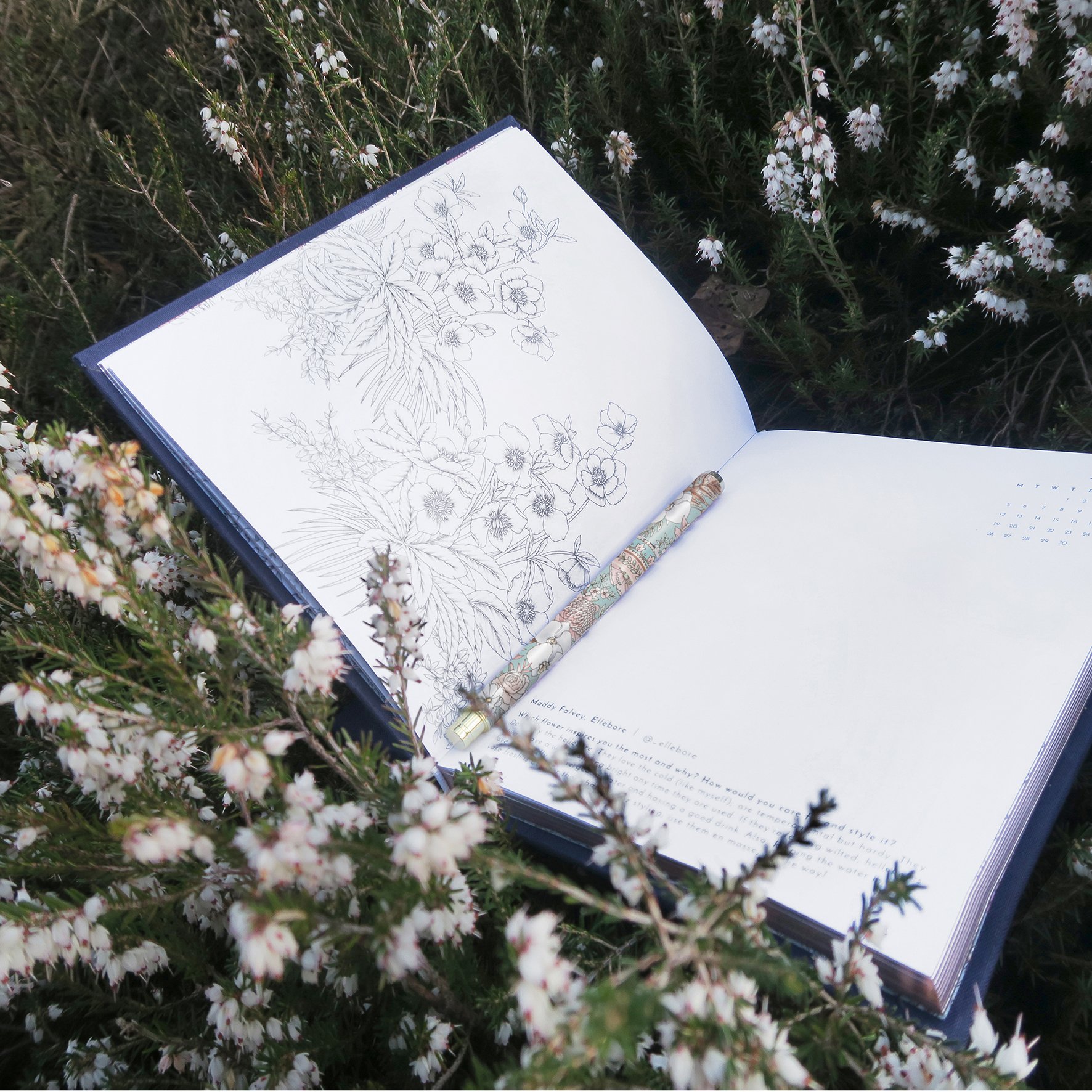 typoflora_planner4.jpg