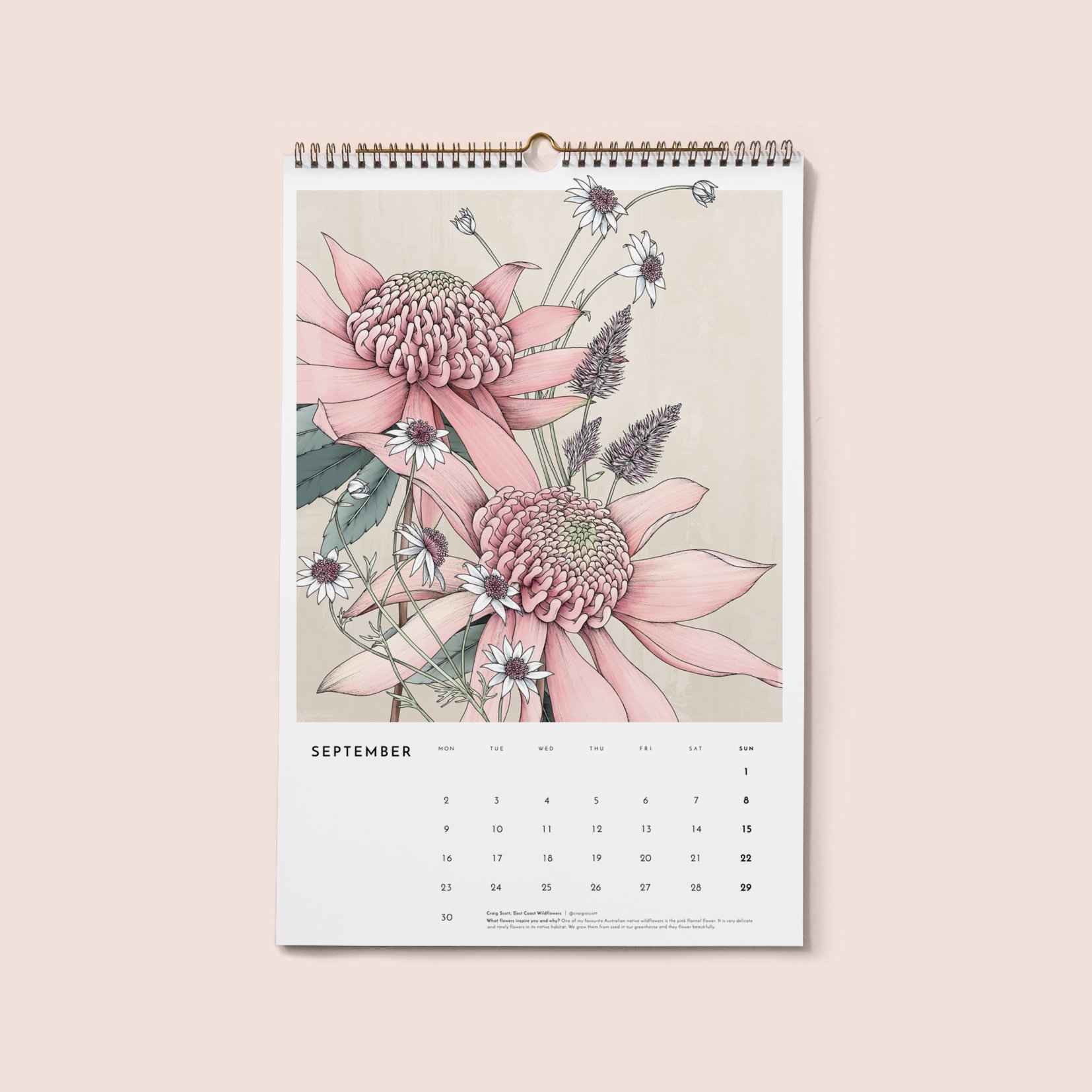 2024 Always Flowers Botanical Wall Calendar — TYPOFLORA