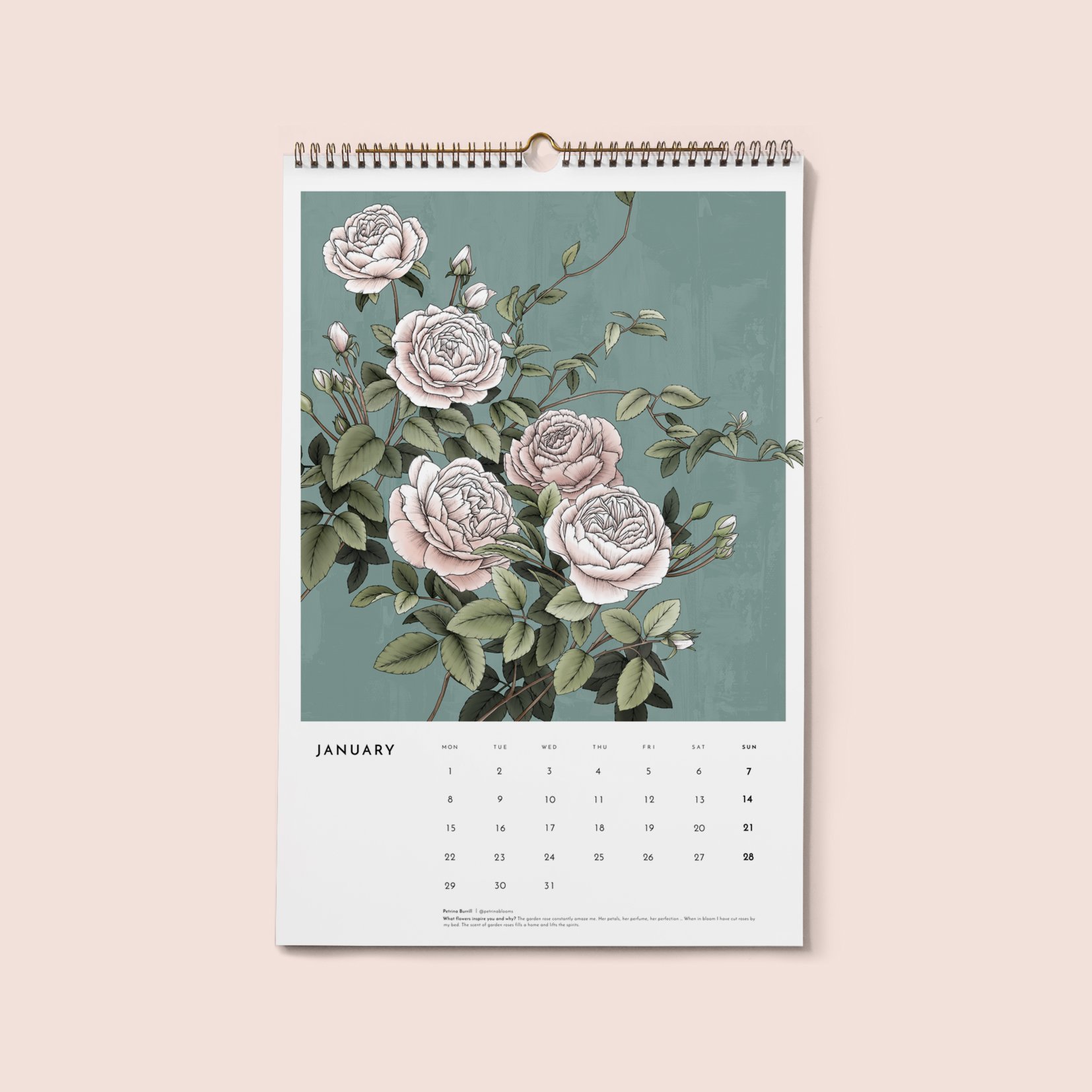 2024 Always Flowers Botanical Wall Calendar — TYPOFLORA