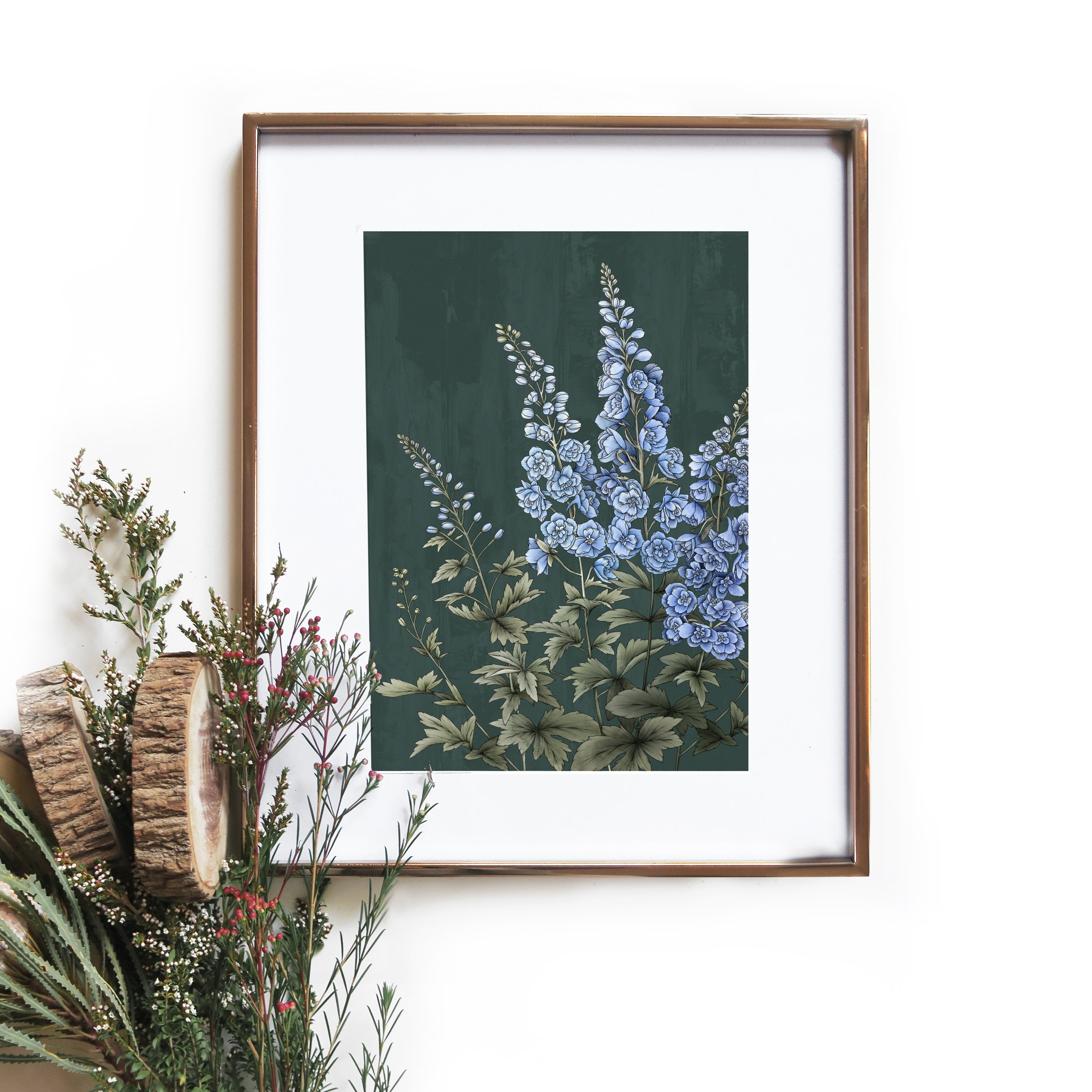 T2390_delphinium.jpg