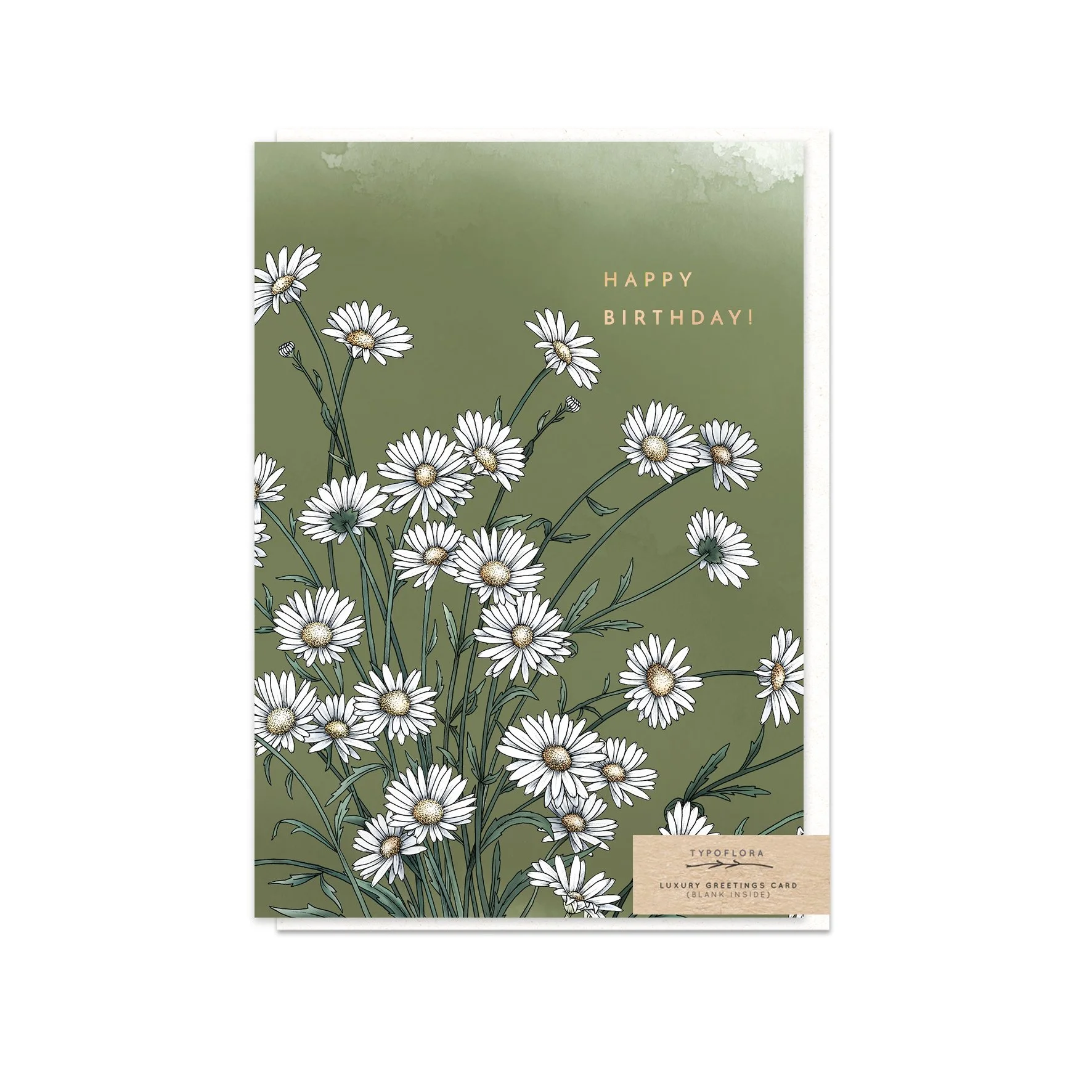 T2371_daisy_birthdayb.jpg