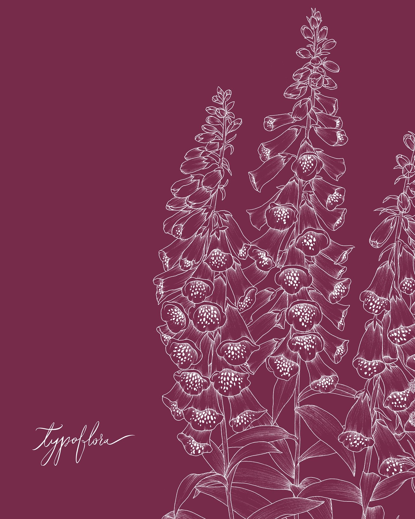 Hello July! 
Can you believe we&rsquo;re already halfway through 2025?

Behind the scenes, we&rsquo;ve been quietly (but excitedly!) working away on our 2026 collection&mdash;and we can&rsquo;t wait to show you what&rsquo;s blooming over next few wee