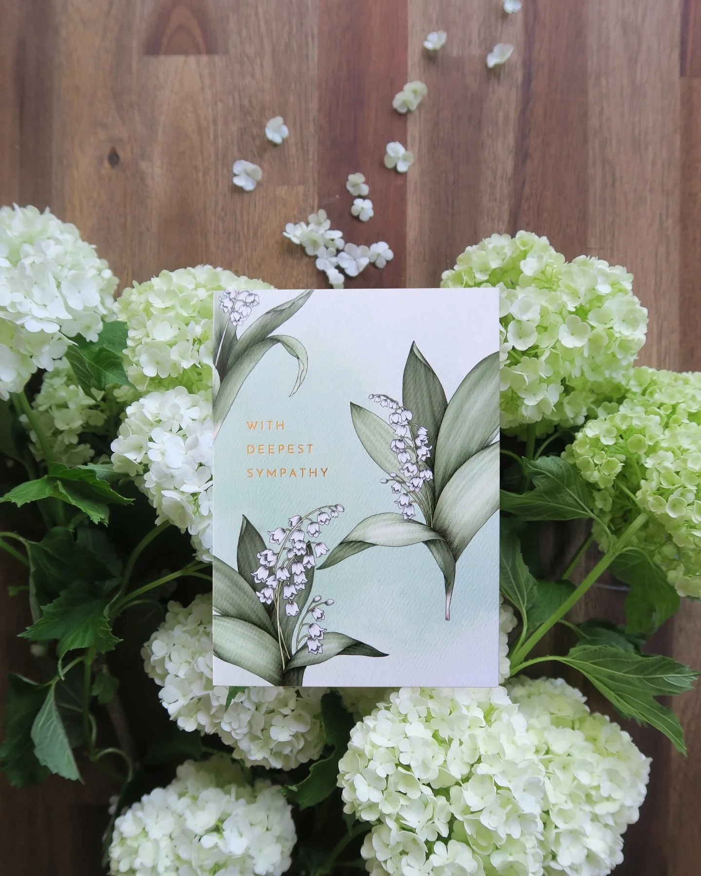 New favourites are here, and our stockists are already obsessed. Feature with the delicate lily of the valley, hellebores, windflowers and cosmos. 

Every card is thoughtfully designed and made in Australia. Hope you like them too!