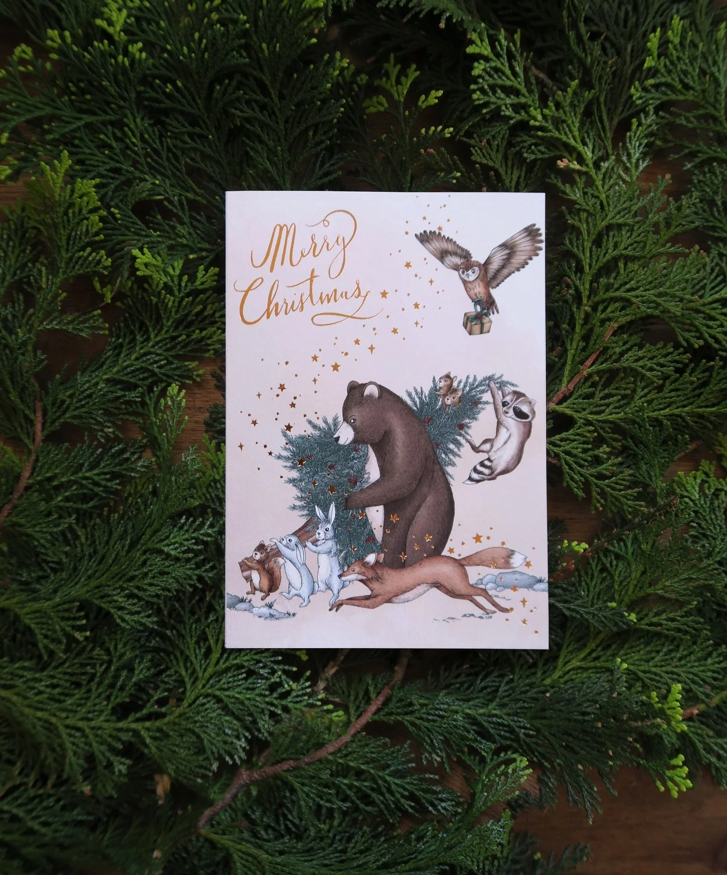 Merry Christmas! Wishing you all a wonderful holiday, filled with nature recharging time over the festive period! Thank you so much for supporting my small business. It means the world.

This Christmas has been extra special as we partnered with the 