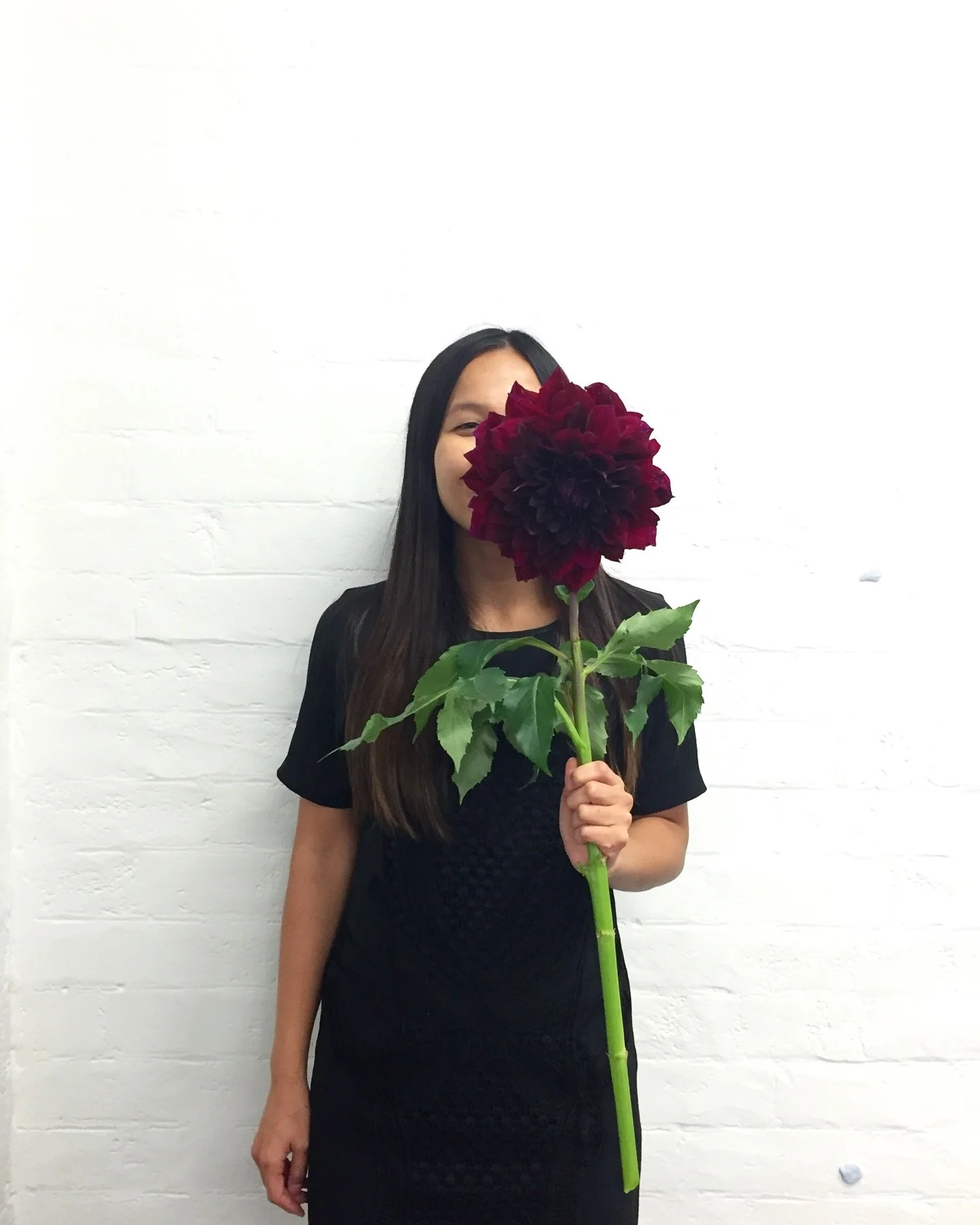 They say 2016 is the new 2026&hellip; and looking back, it really was the year everything began. So I decided to do a little post about that too! 😬

2016 was full of firsts, brave leaps and big dreams. It was the year I stepped away from full-time w