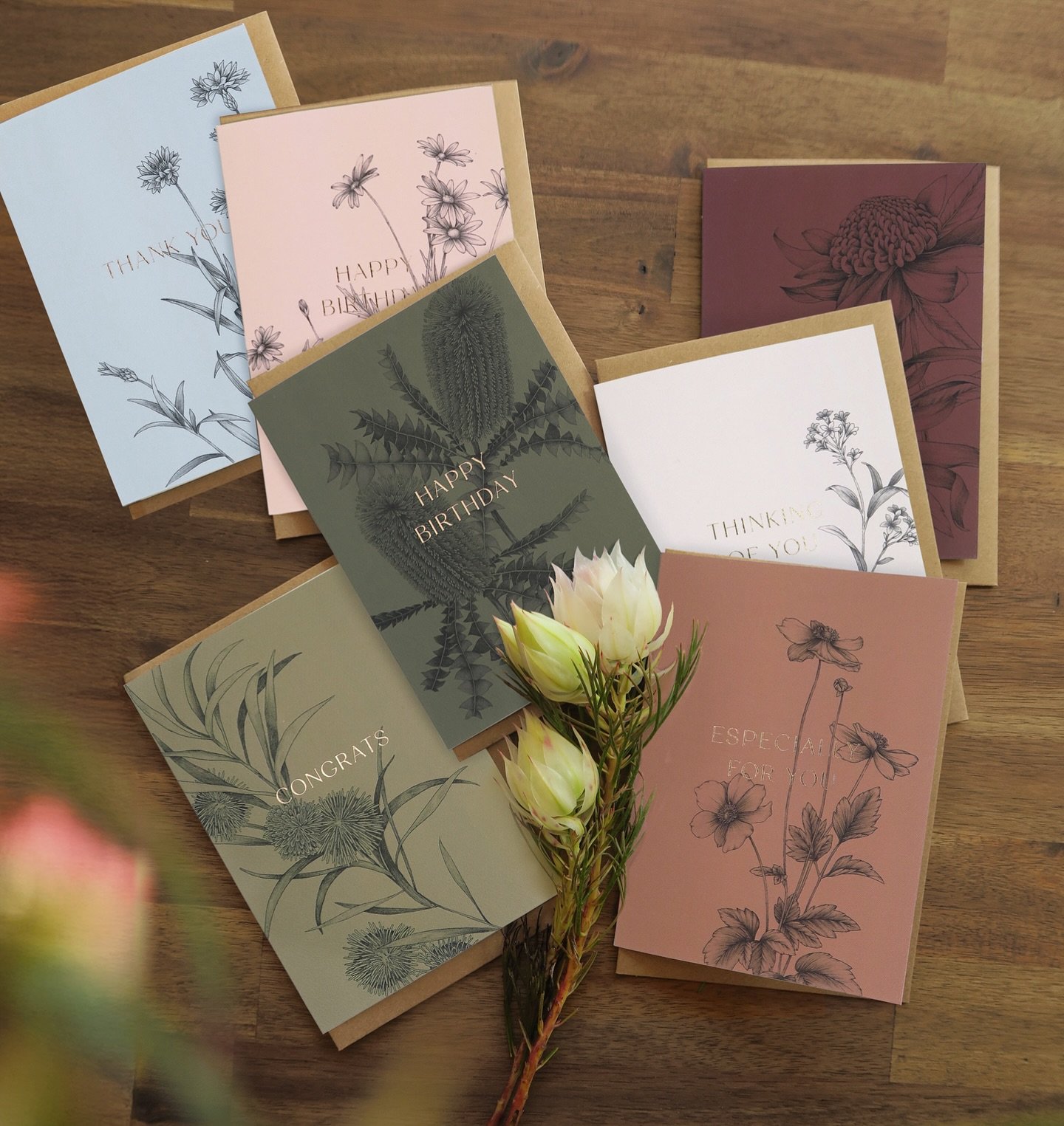 This year feels especially meaningful for us as we celebrate a milestone for Typoflora.

Creating this new First Form collection has been a full circle moment. Looking back at the very first collection I created and reflecting on why I started, and w