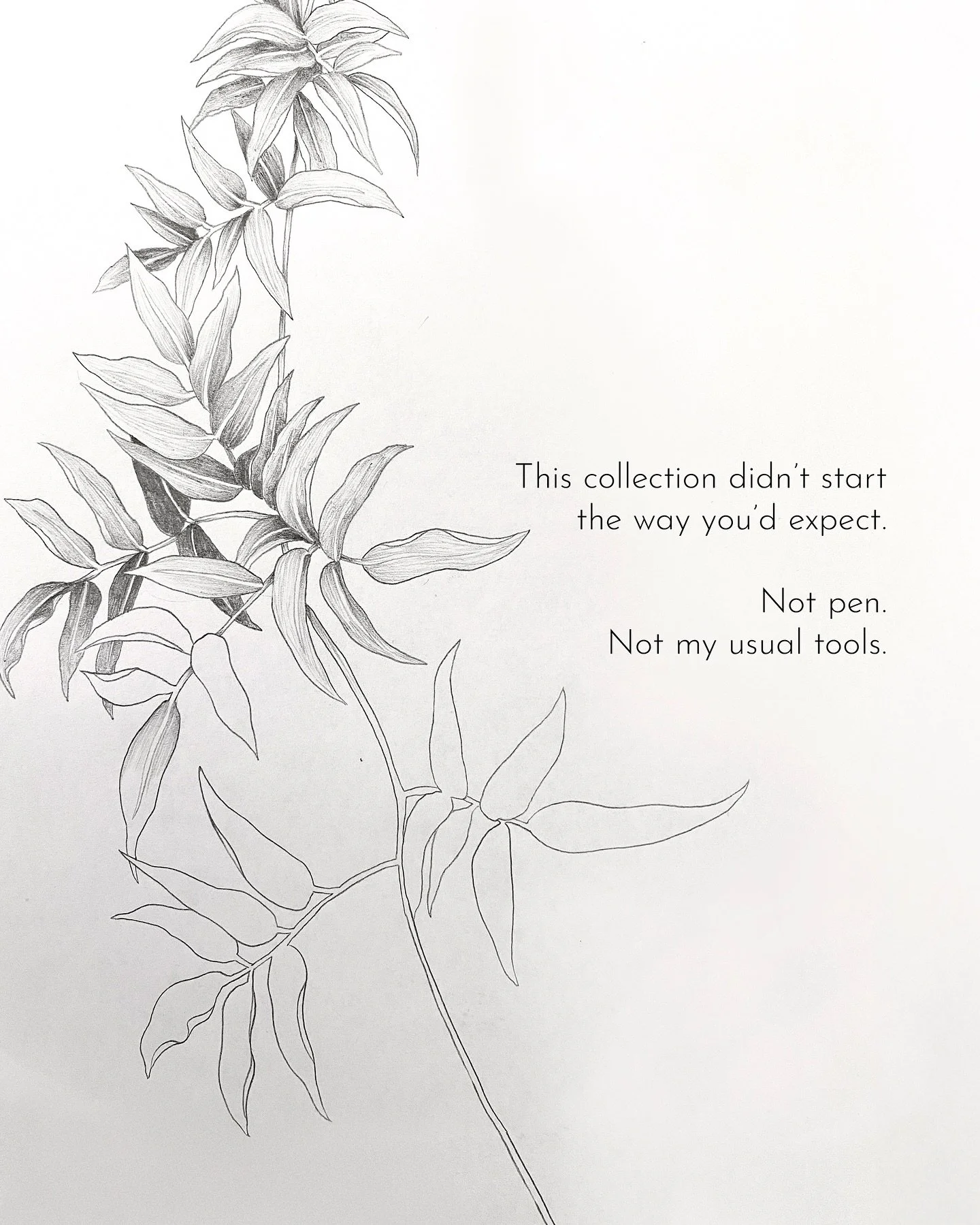 This one took its time.

Back in 2023, I wanted to try a different tool, not the usual pen, but started with some pencil sketches with flowers. 

I left it for months, not quite sure where it was going. I came back to it at the end of that year and f