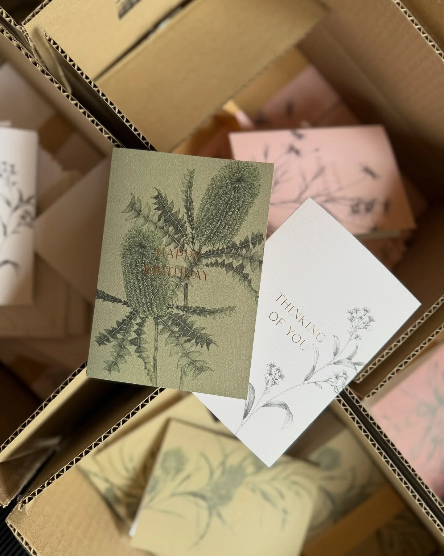 Some of our new favourite things! 🤎