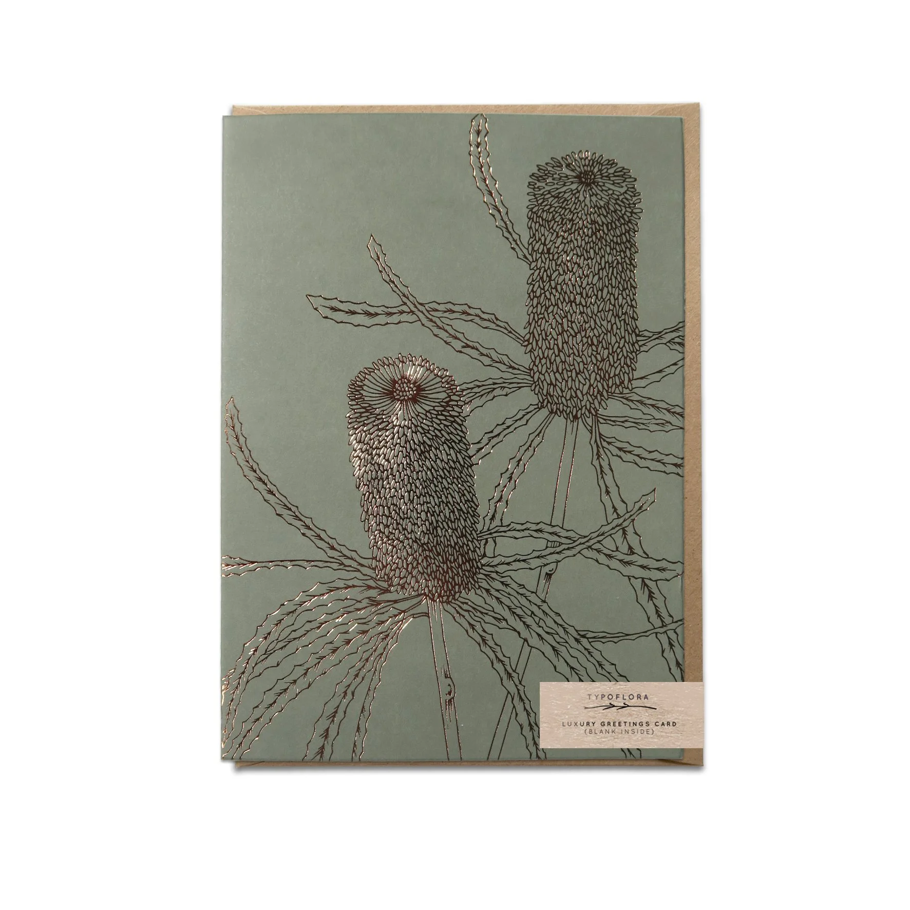 T2617_banksia.jpeg