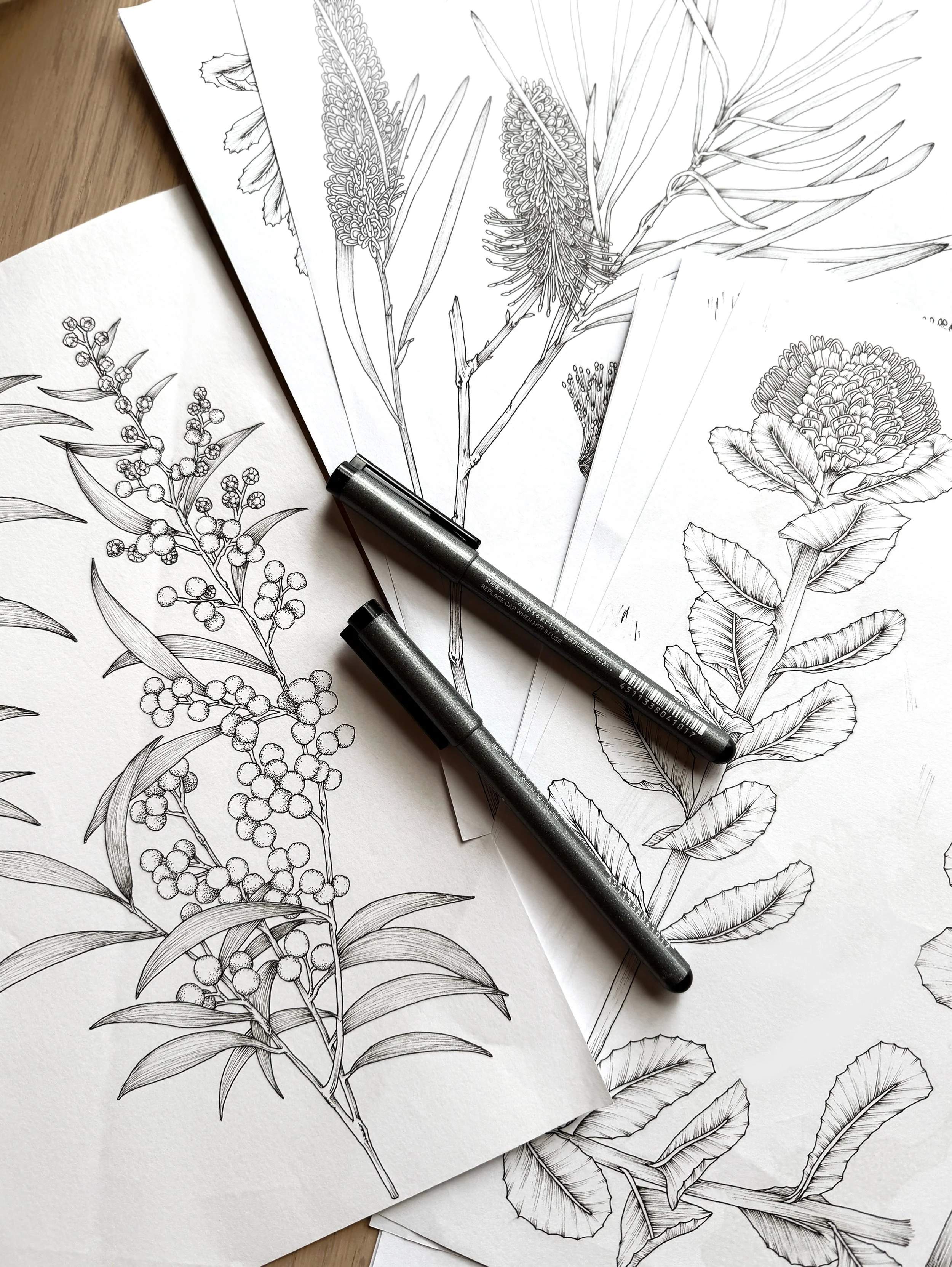 Every collection begins with a hand drawn pen stroke.

Here&rsquo;s your very first glimpse of what&rsquo;s blooming for 2027 planners and calendars. A collection inspired by one of Australia&rsquo;s most extraordinary natural treasures. More soon. ?