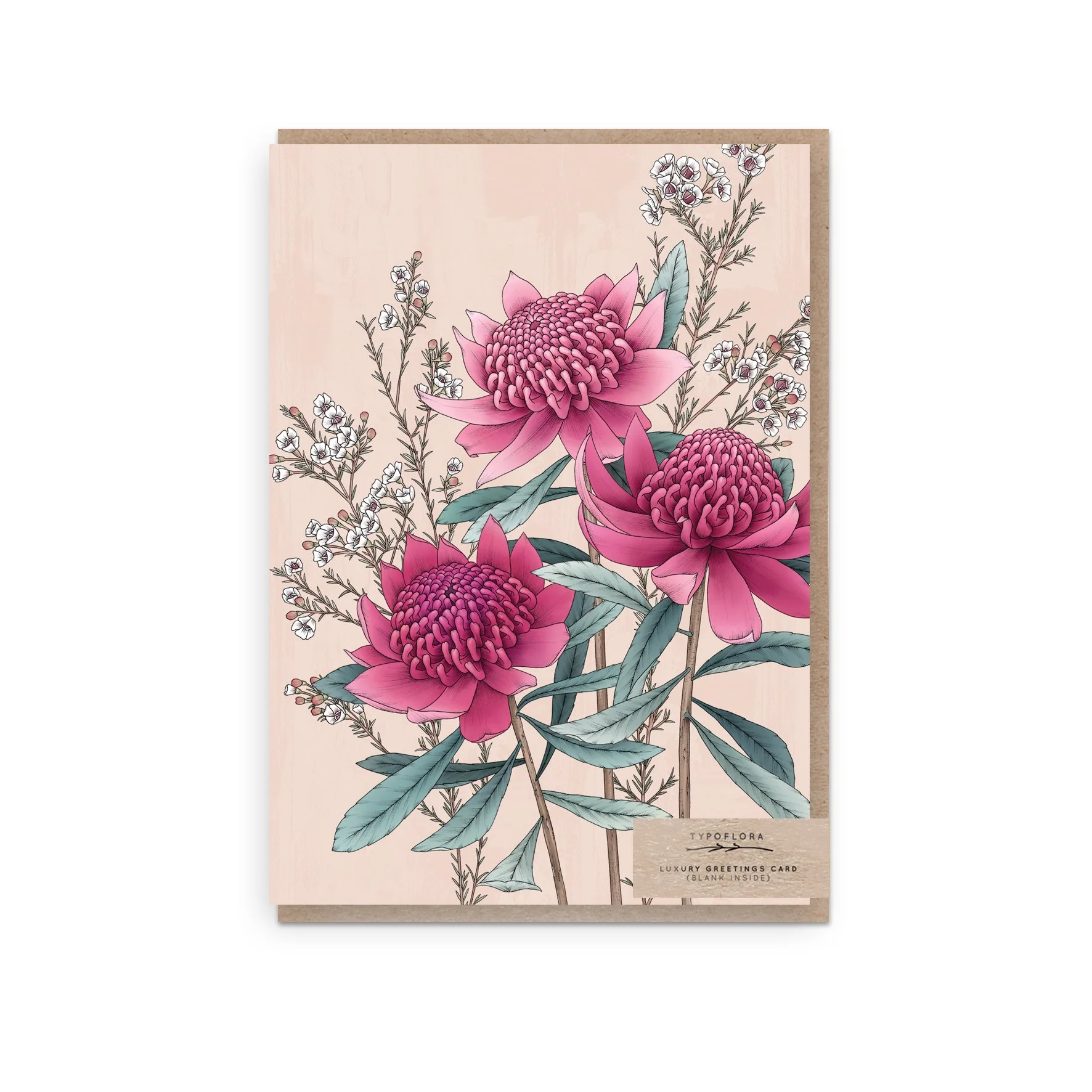 T2650_waratah_portrait_b.jpg