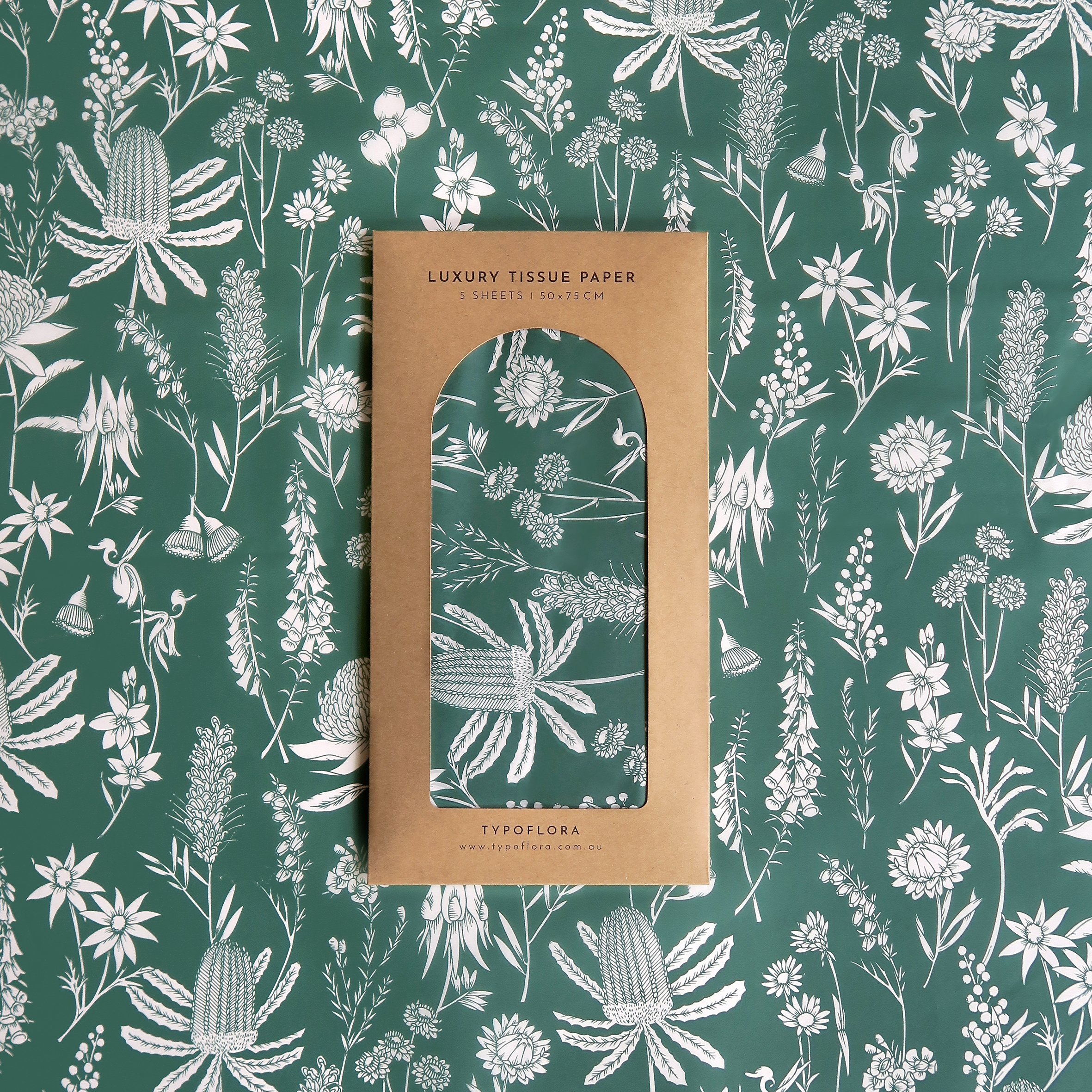 T2638_Forest_green_waratah2b.jpg