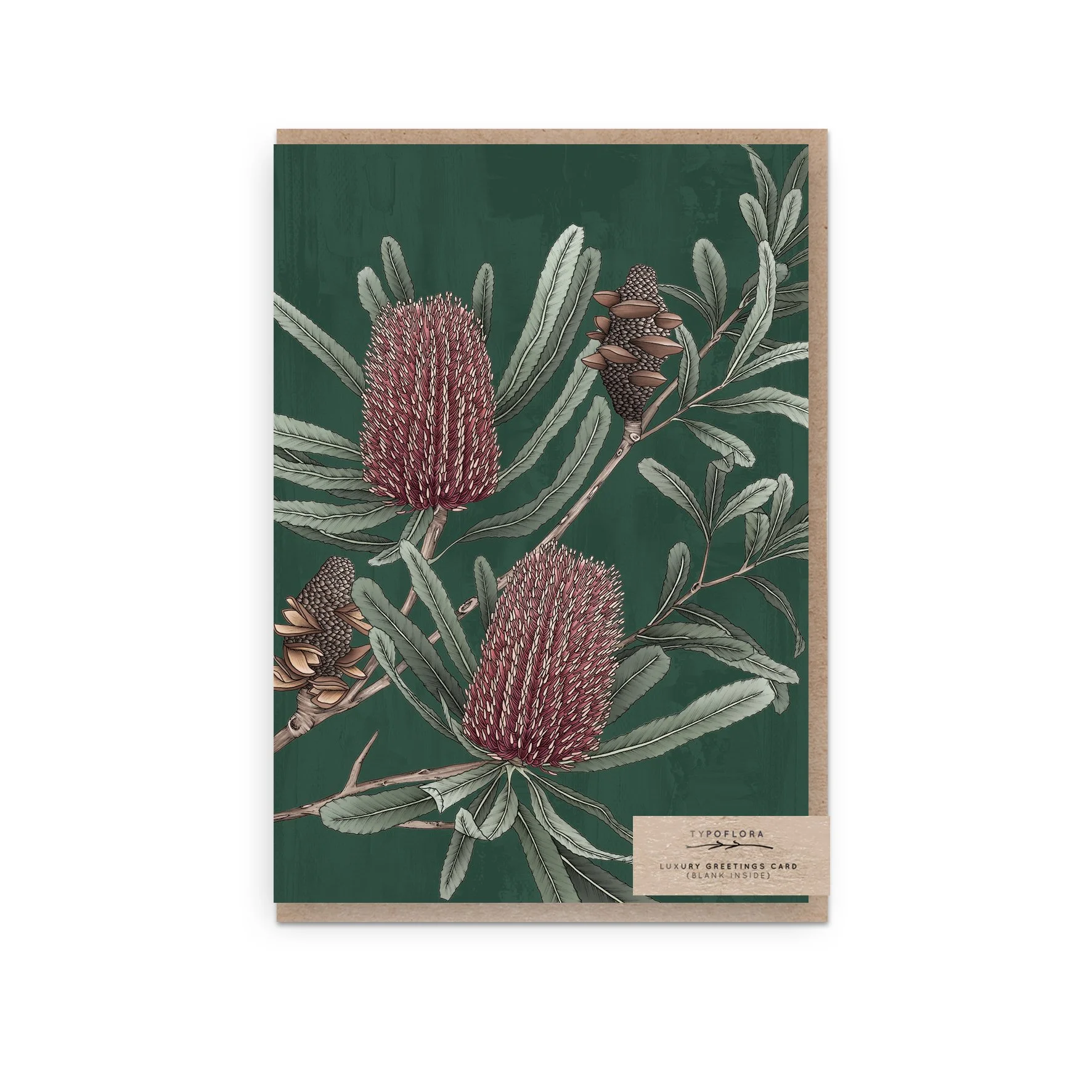 T2653_firewood_banksia_b.jpg