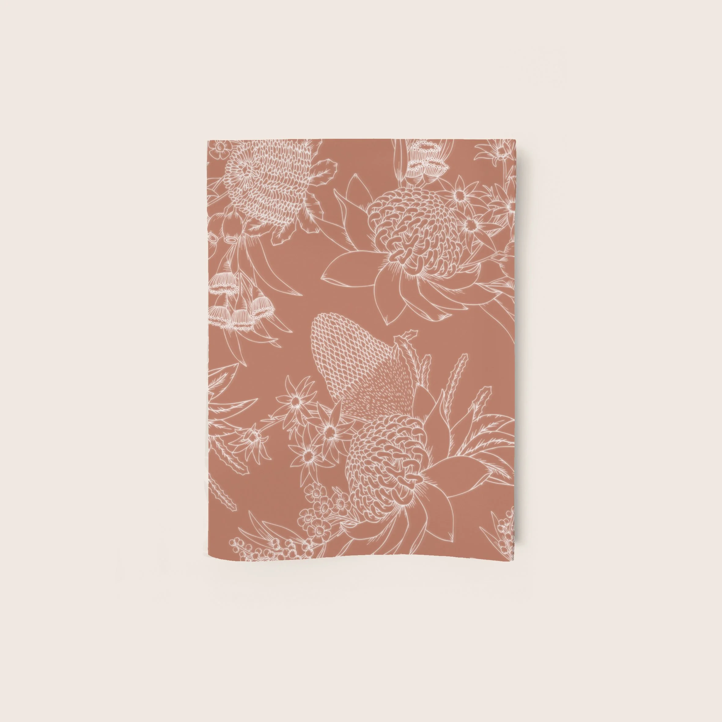 T2639_clay_waratah.jpg
