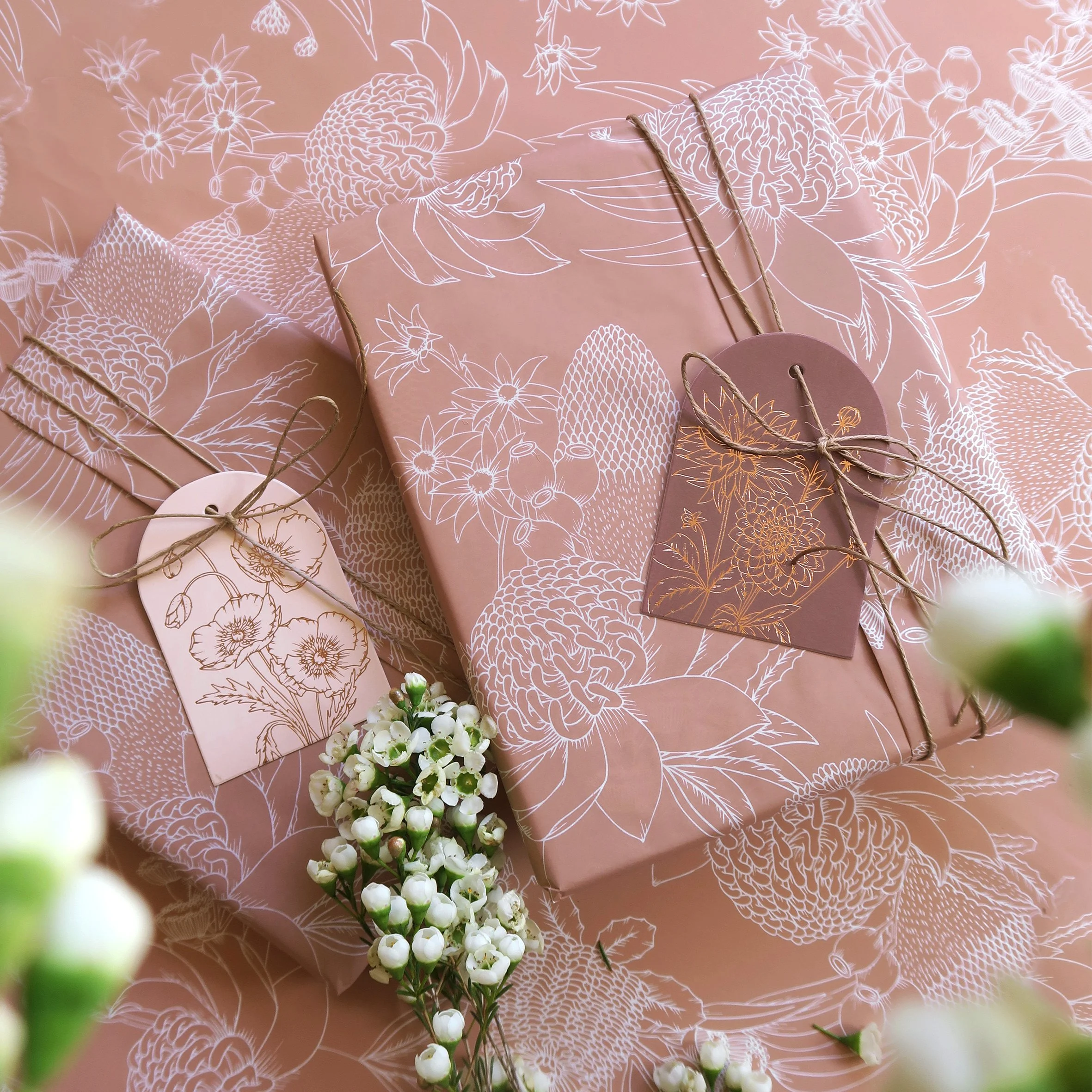 T2639_clay_waratah4b.jpg