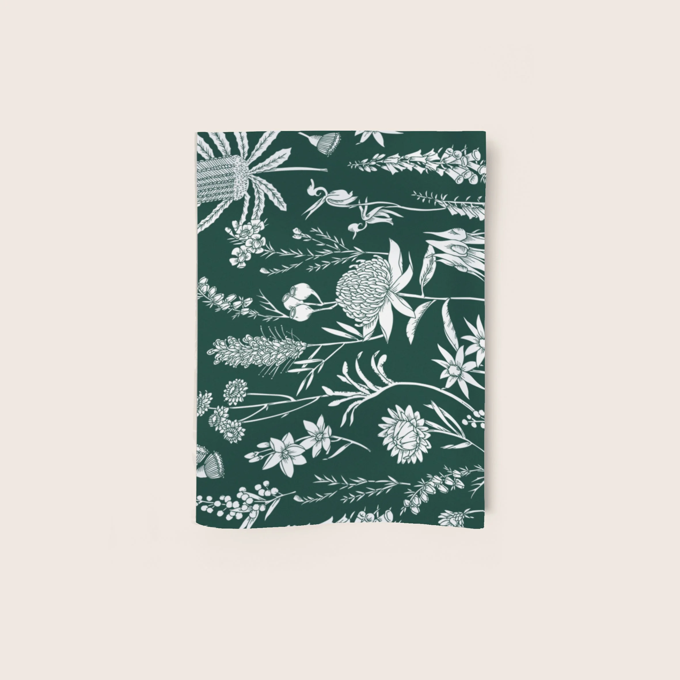 T2638_Forest_green_waratah.jpg