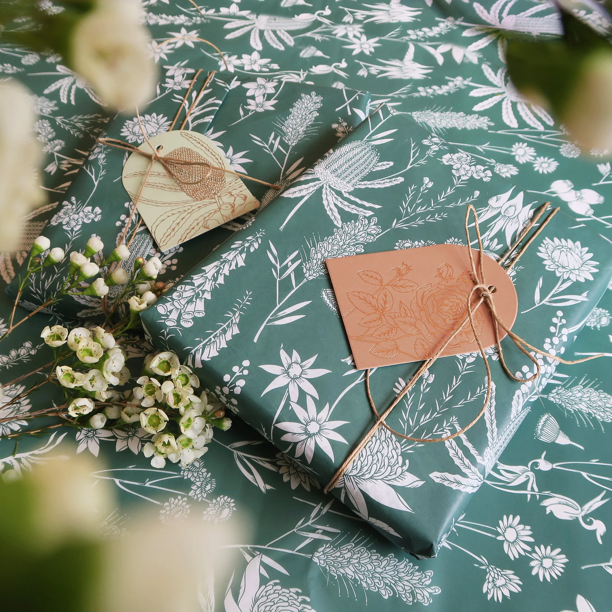 T2638_Forest_green_waratah6b.jpg