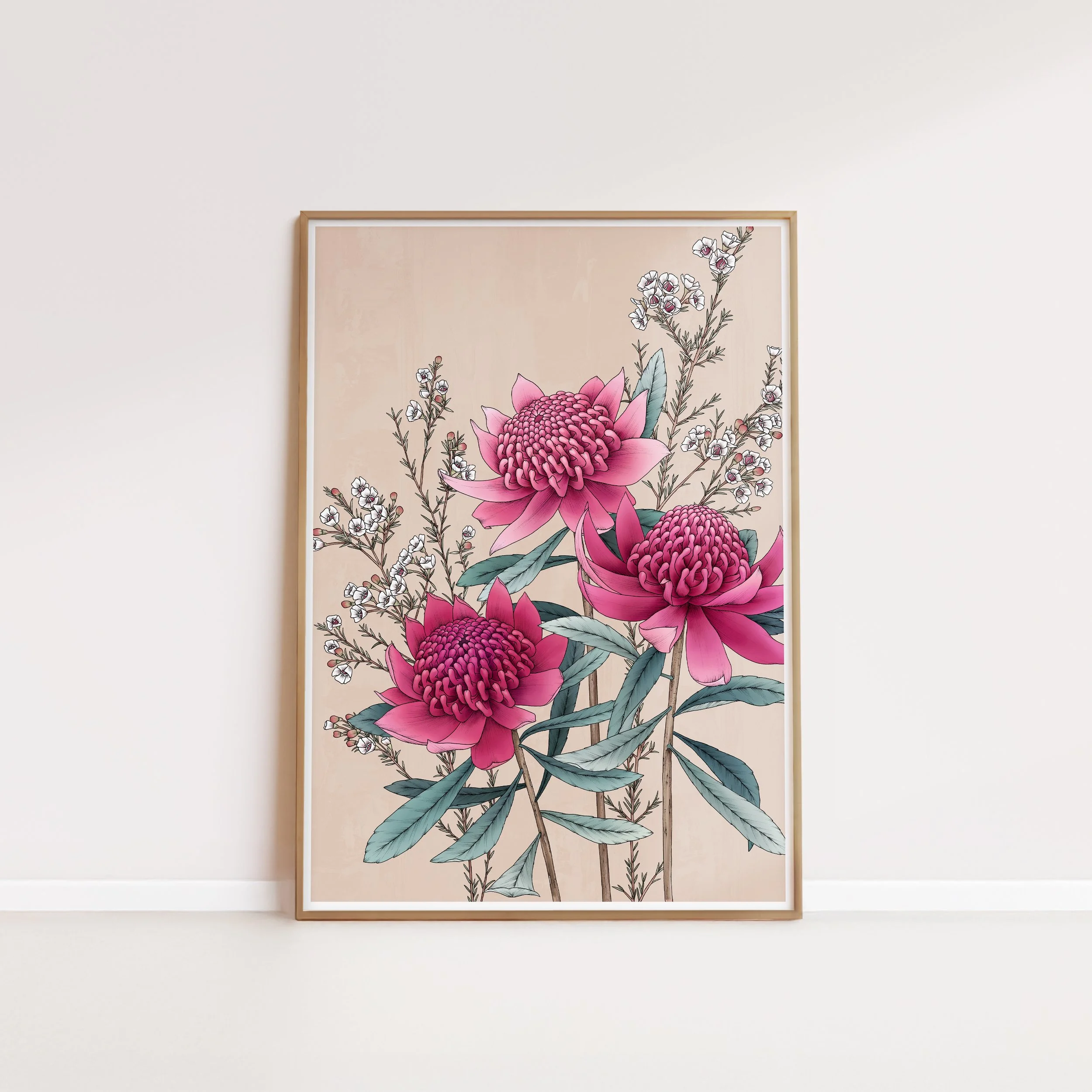 T2672_waratah.jpg