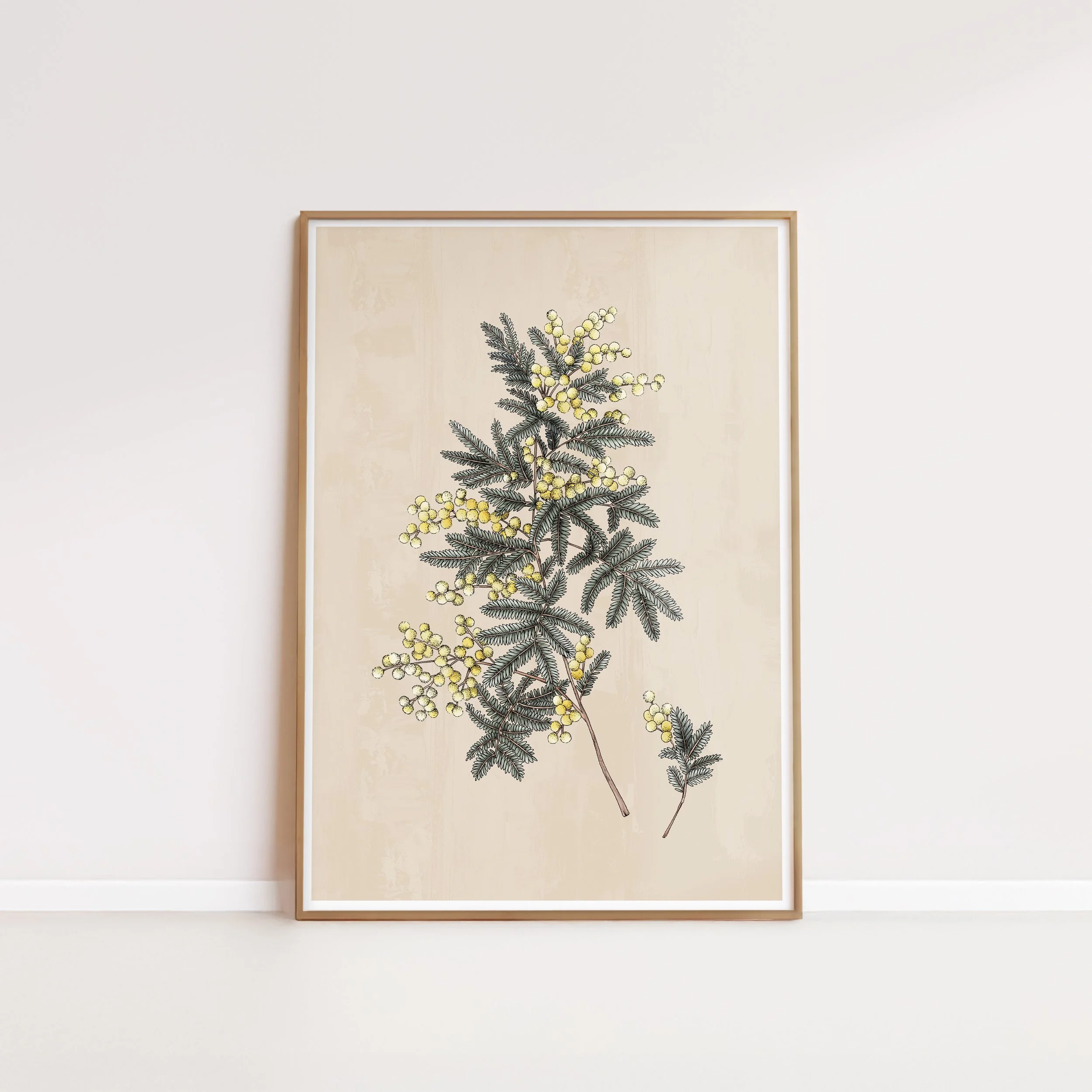 T2187_wattle.jpg