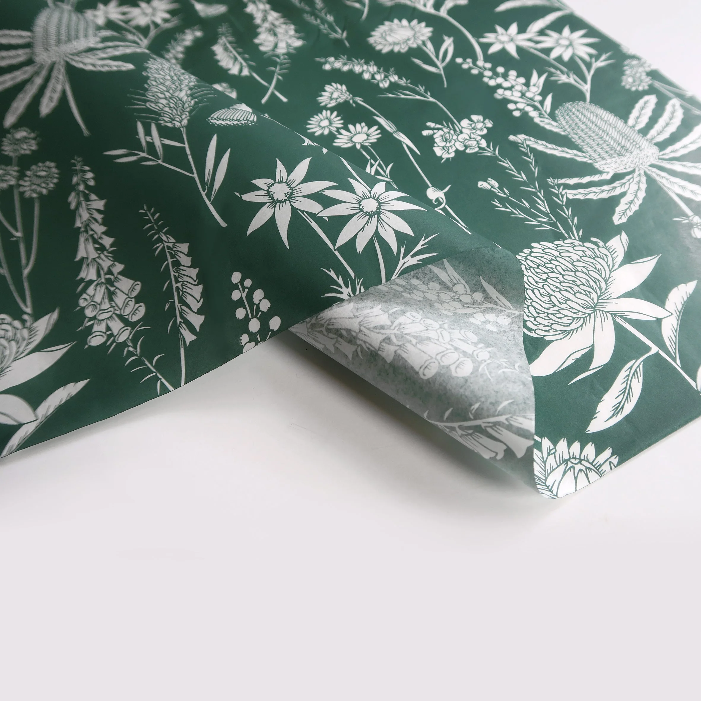 T2638_Forest_green_waratah9.jpg