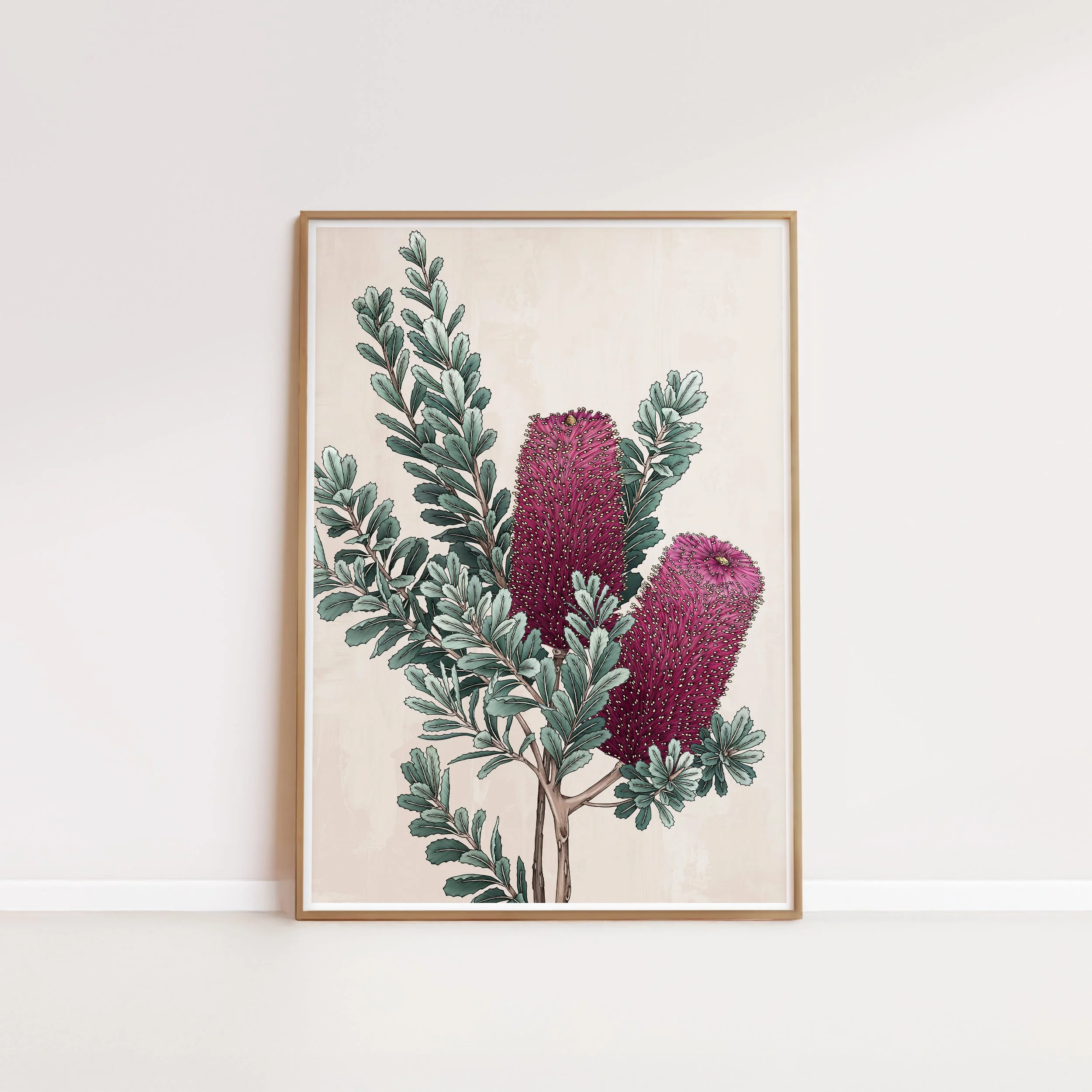 T2667_banksia.jpg