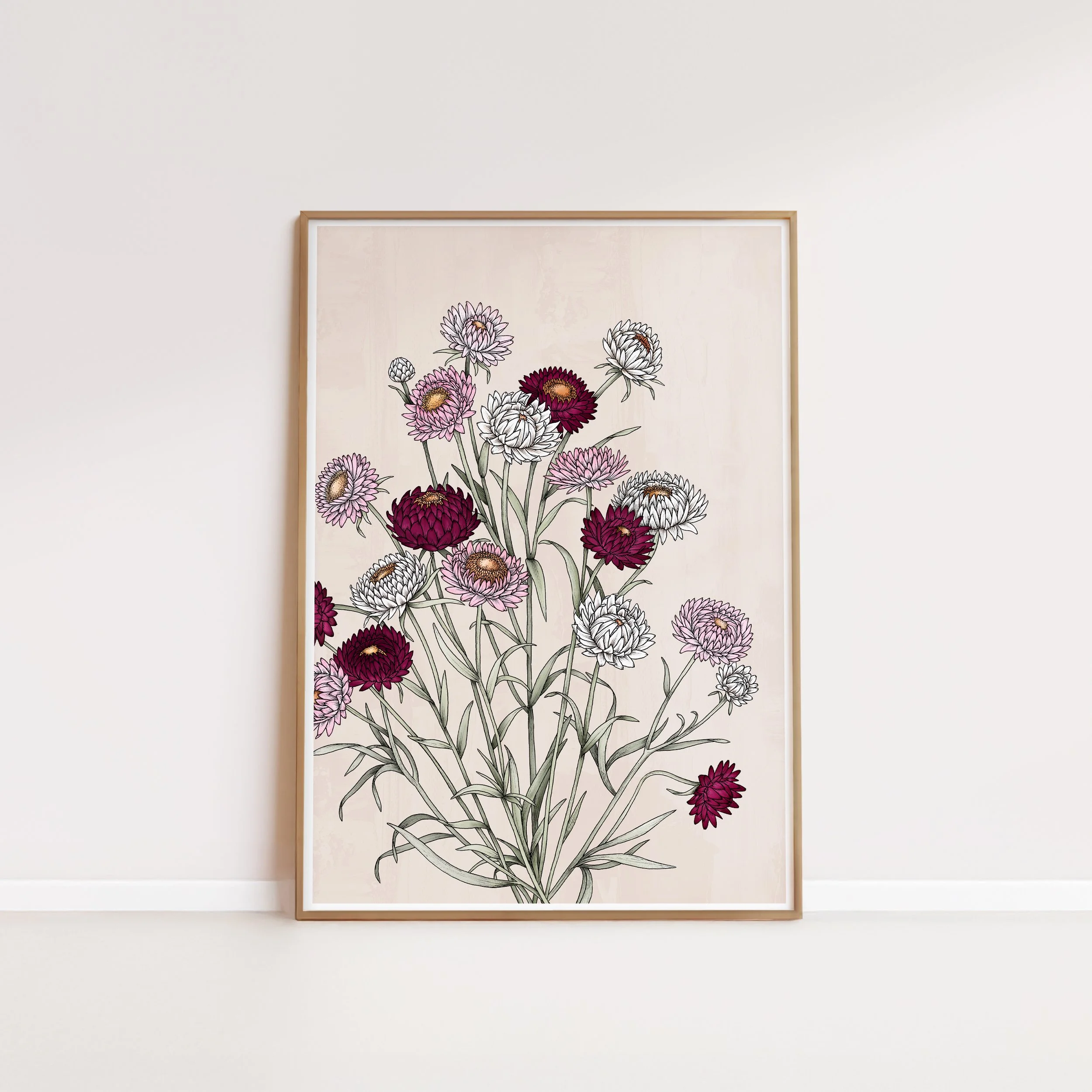 T2470_strawflowers.jpg