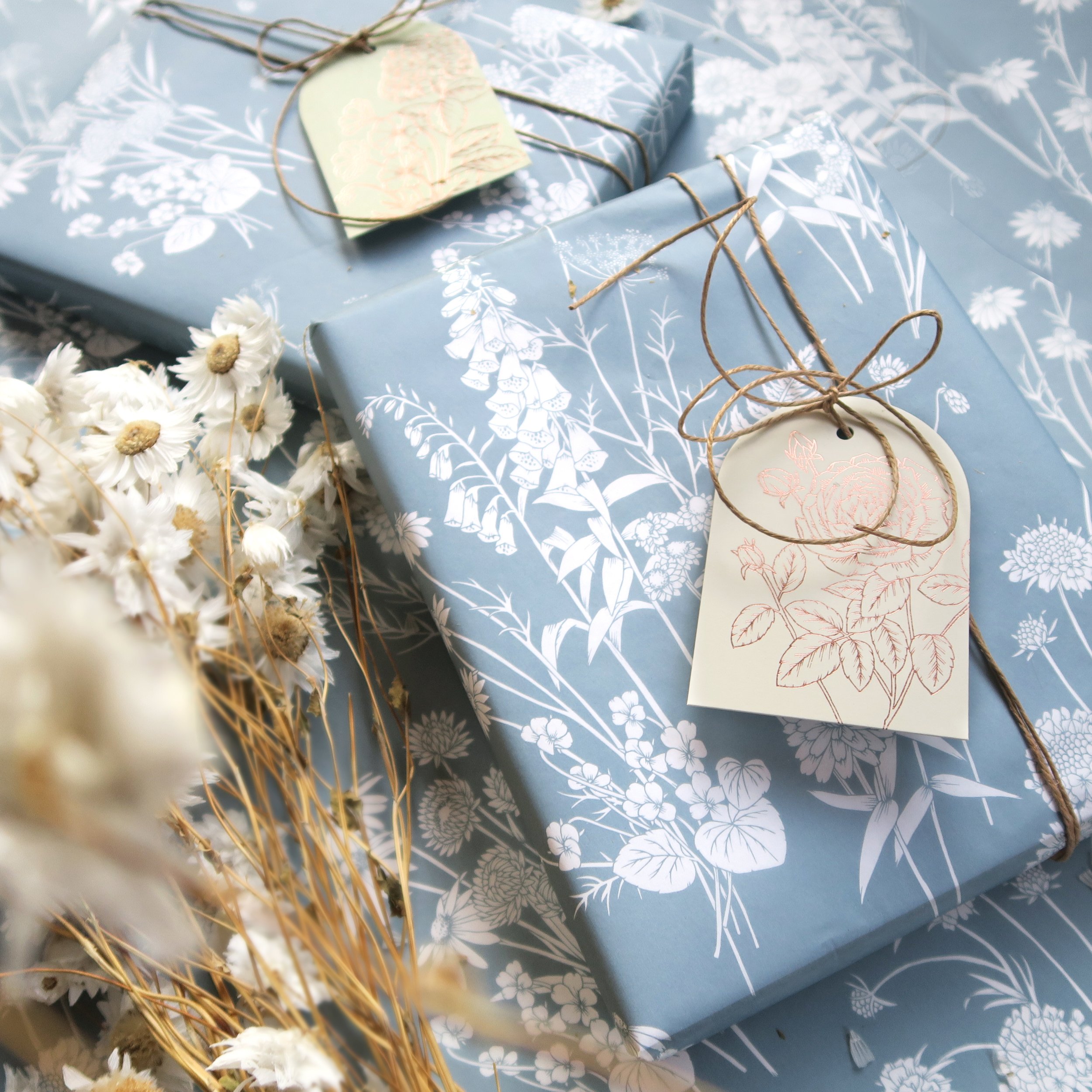 T2422_blue5.jpg