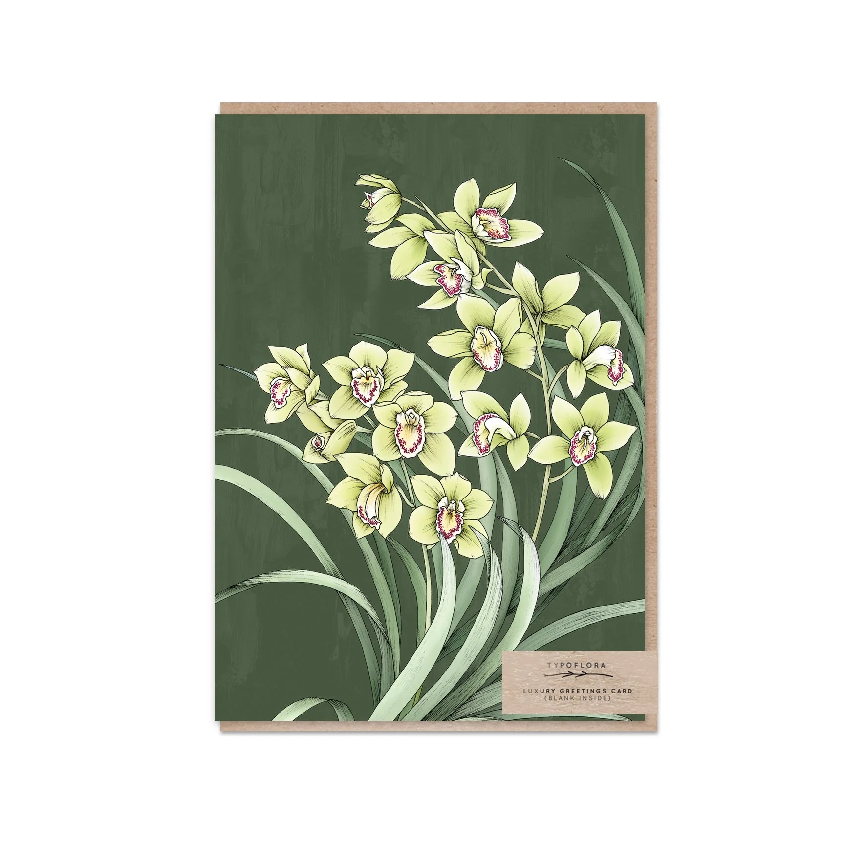 T2533_orchid_b.jpg