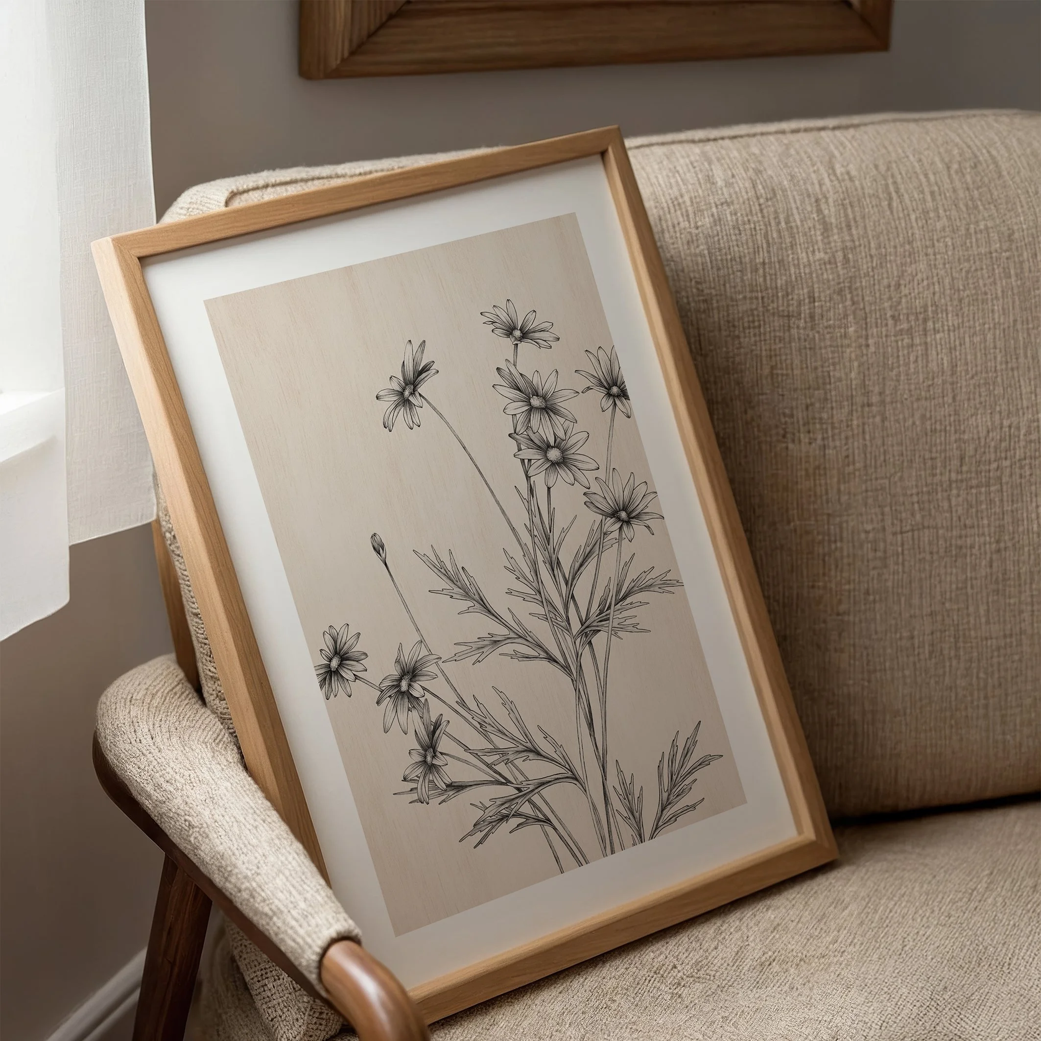 T2628_daisy4 copy.jpg