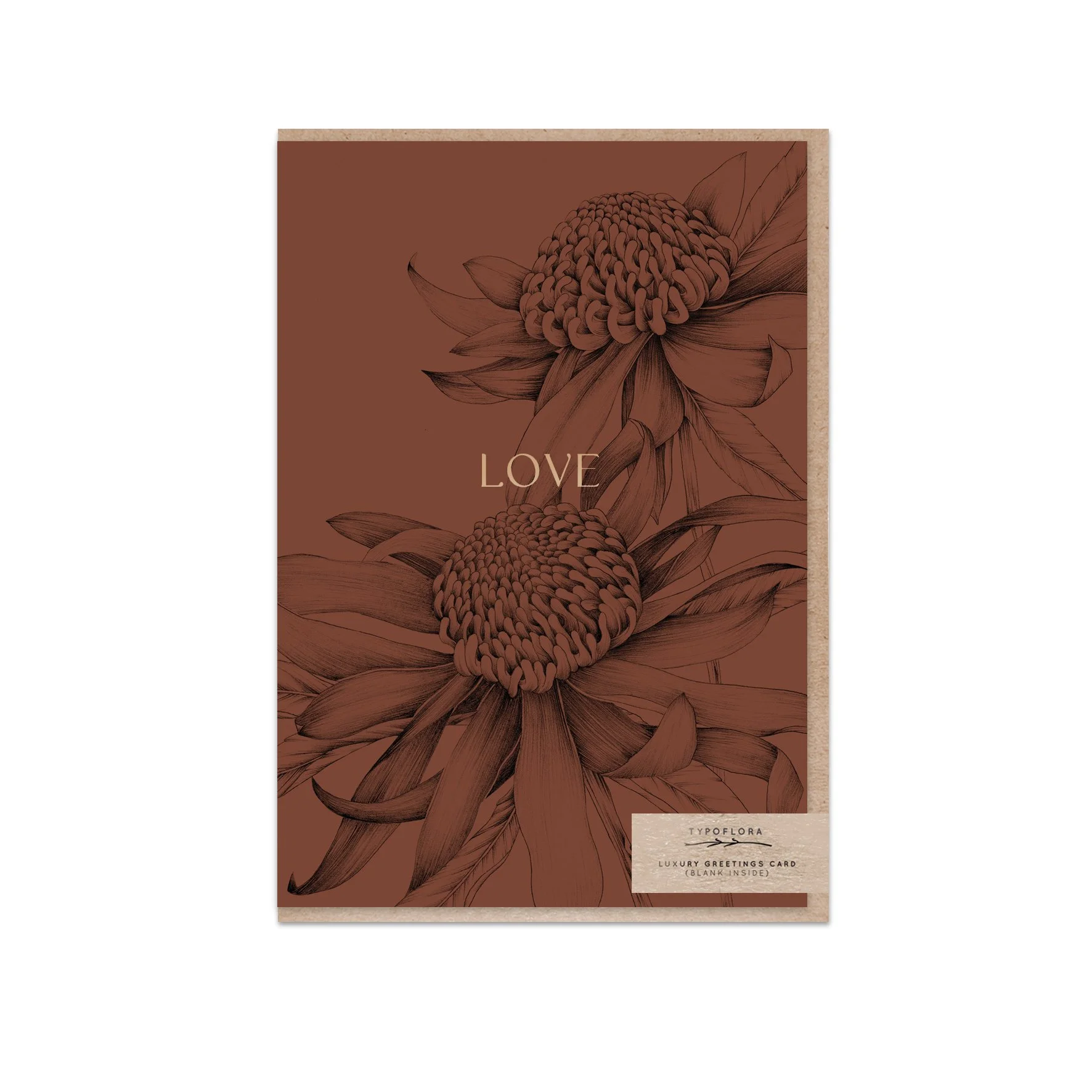 T2624_waratah_b.jpg (Copy)