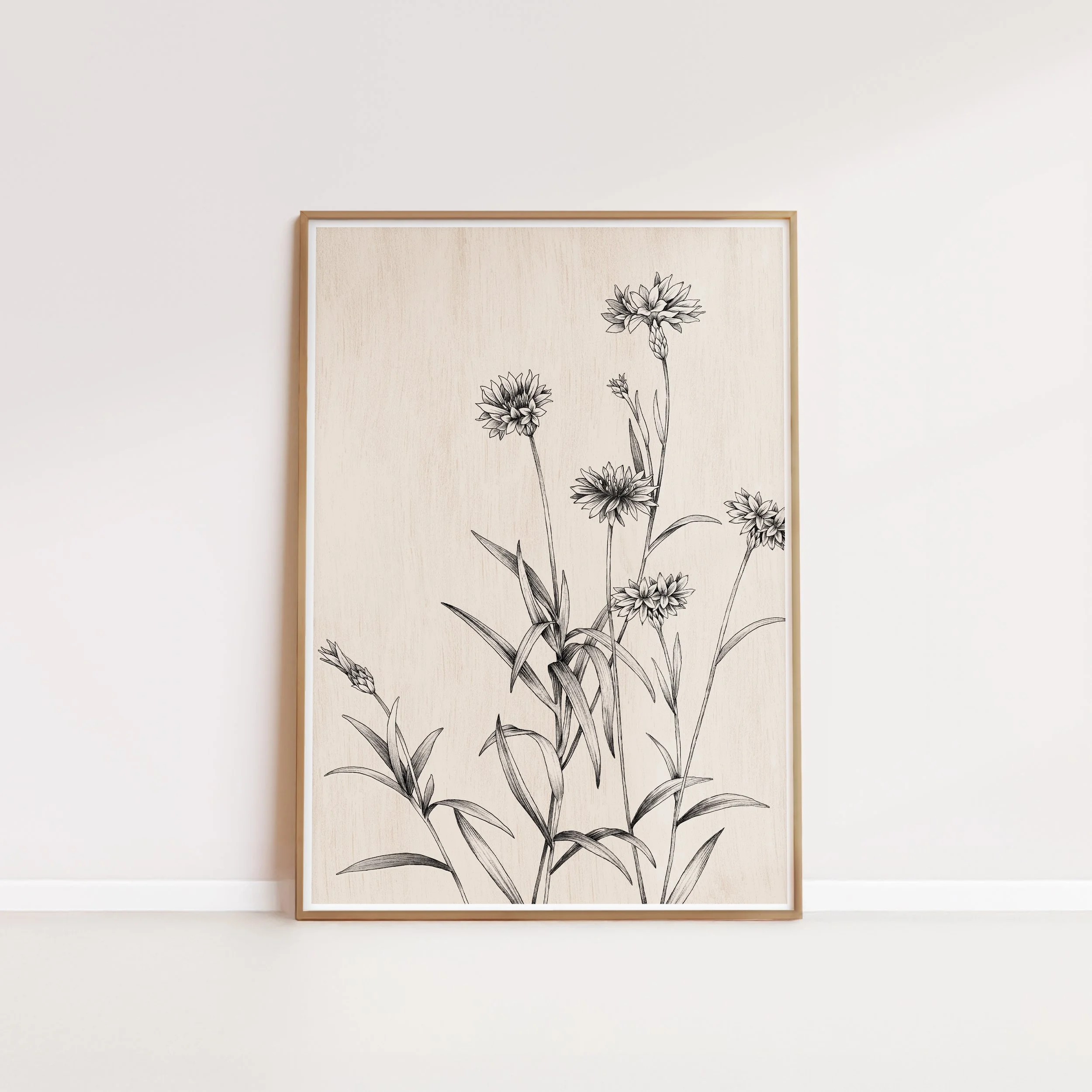 T2631_cornflower2.jpg (Copy)