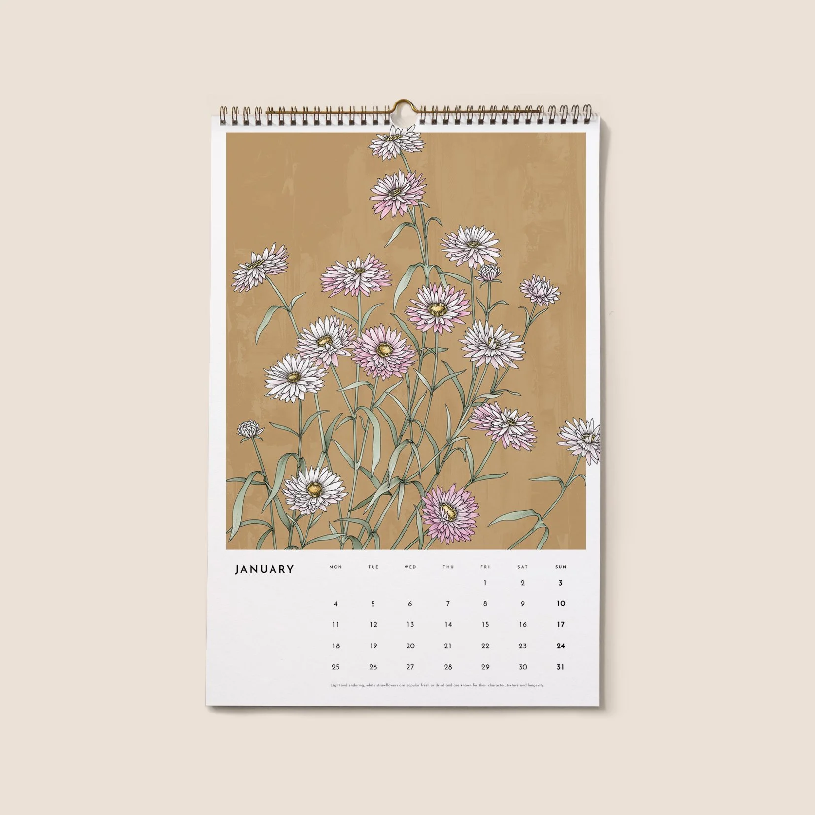 T2642_botanical4.jpg (Copy)