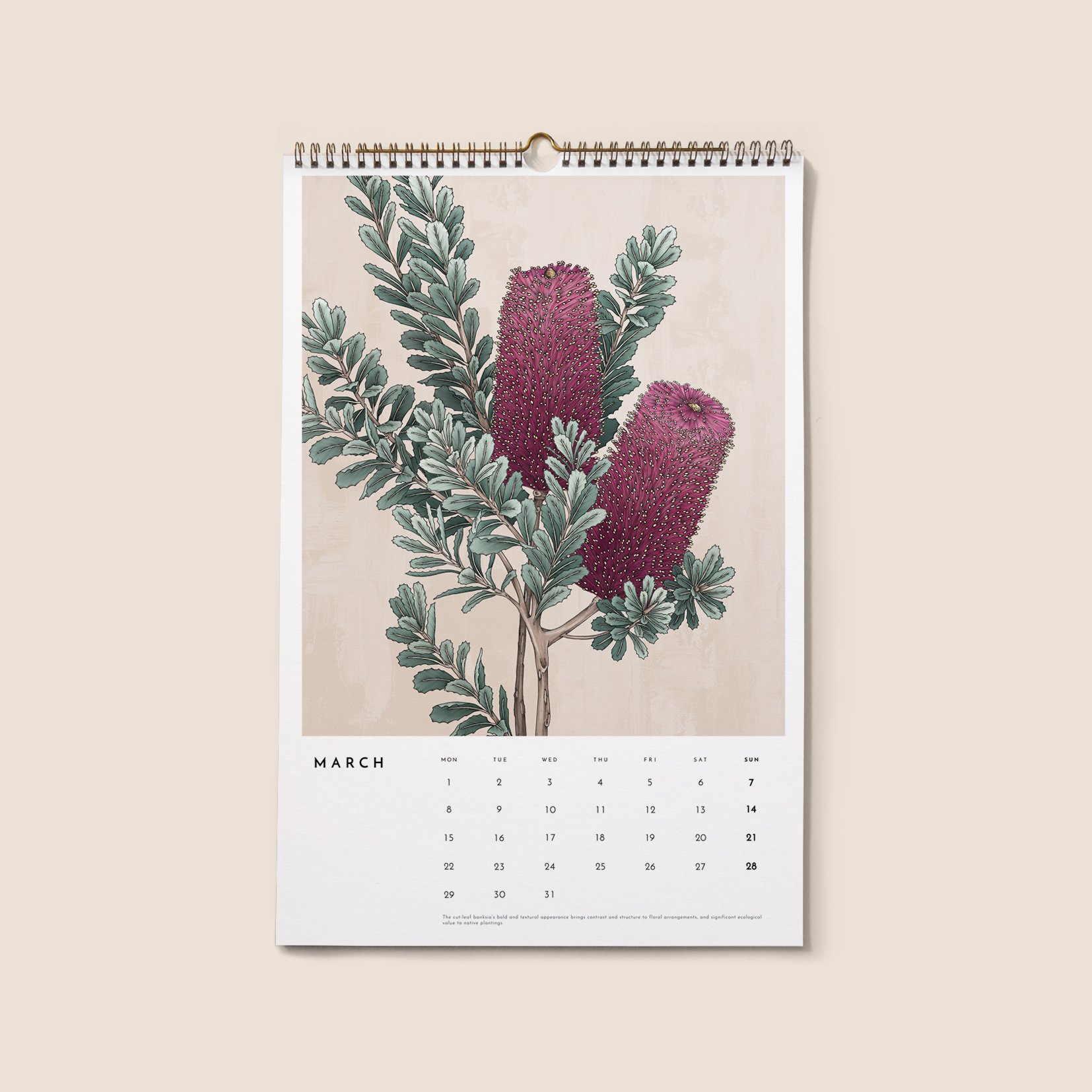 T2642_botanical3.jpg (Copy)