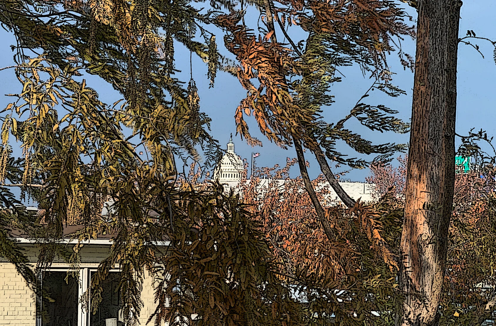 November-20,-2019.jpg