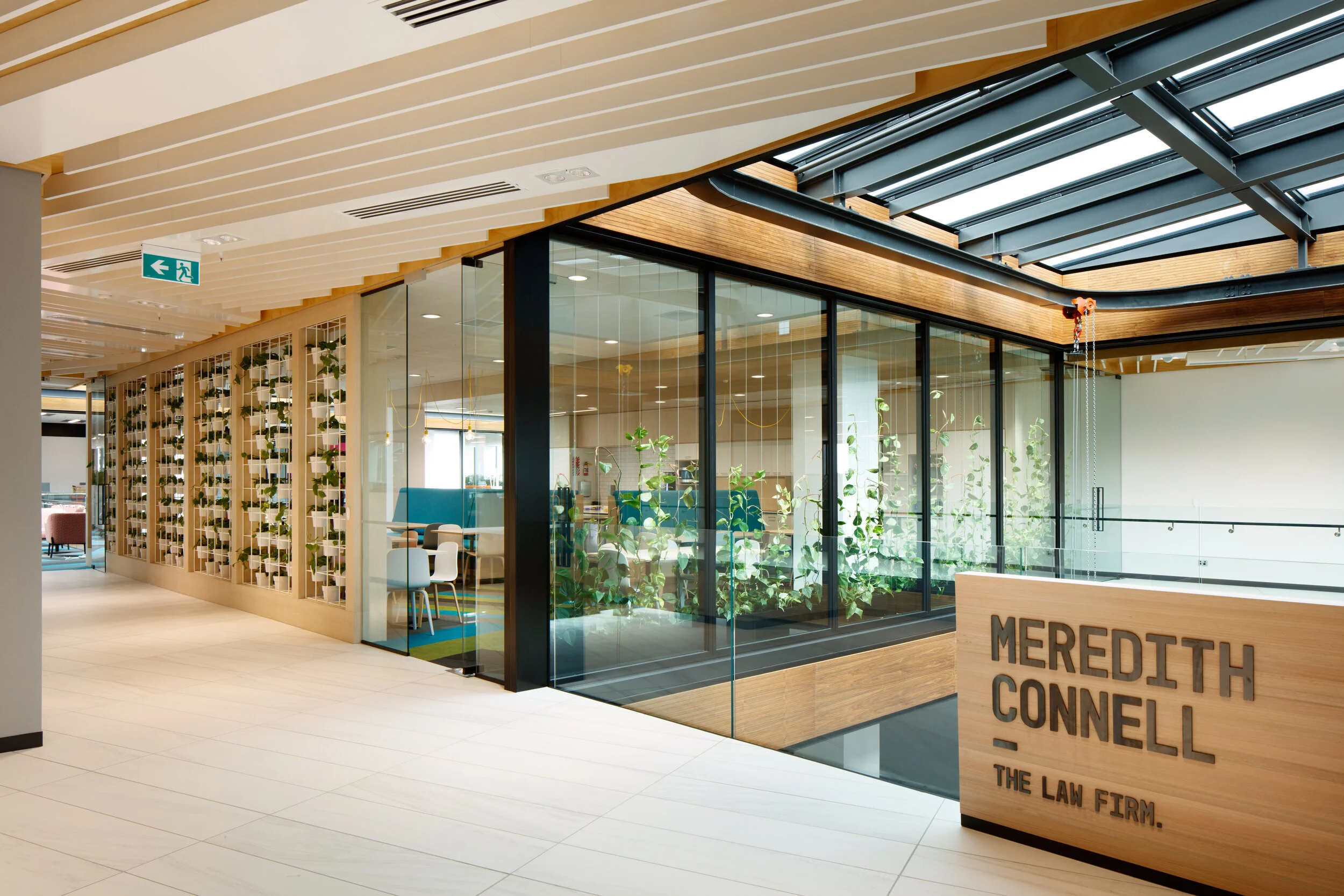 Meredith Connell 1.jpg