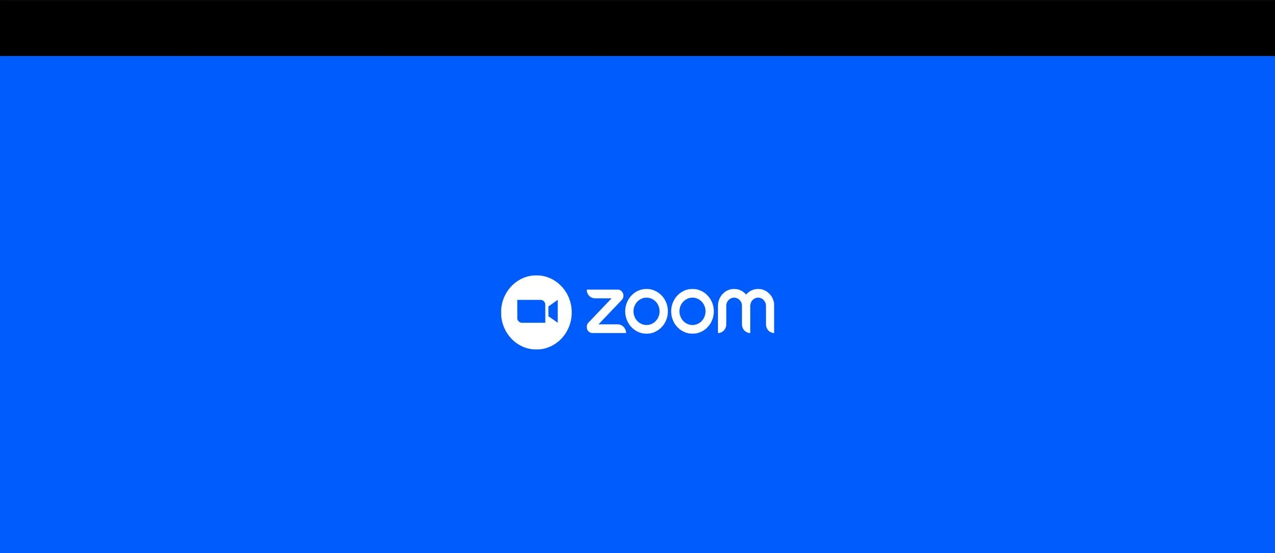logo zoommiting.jpg