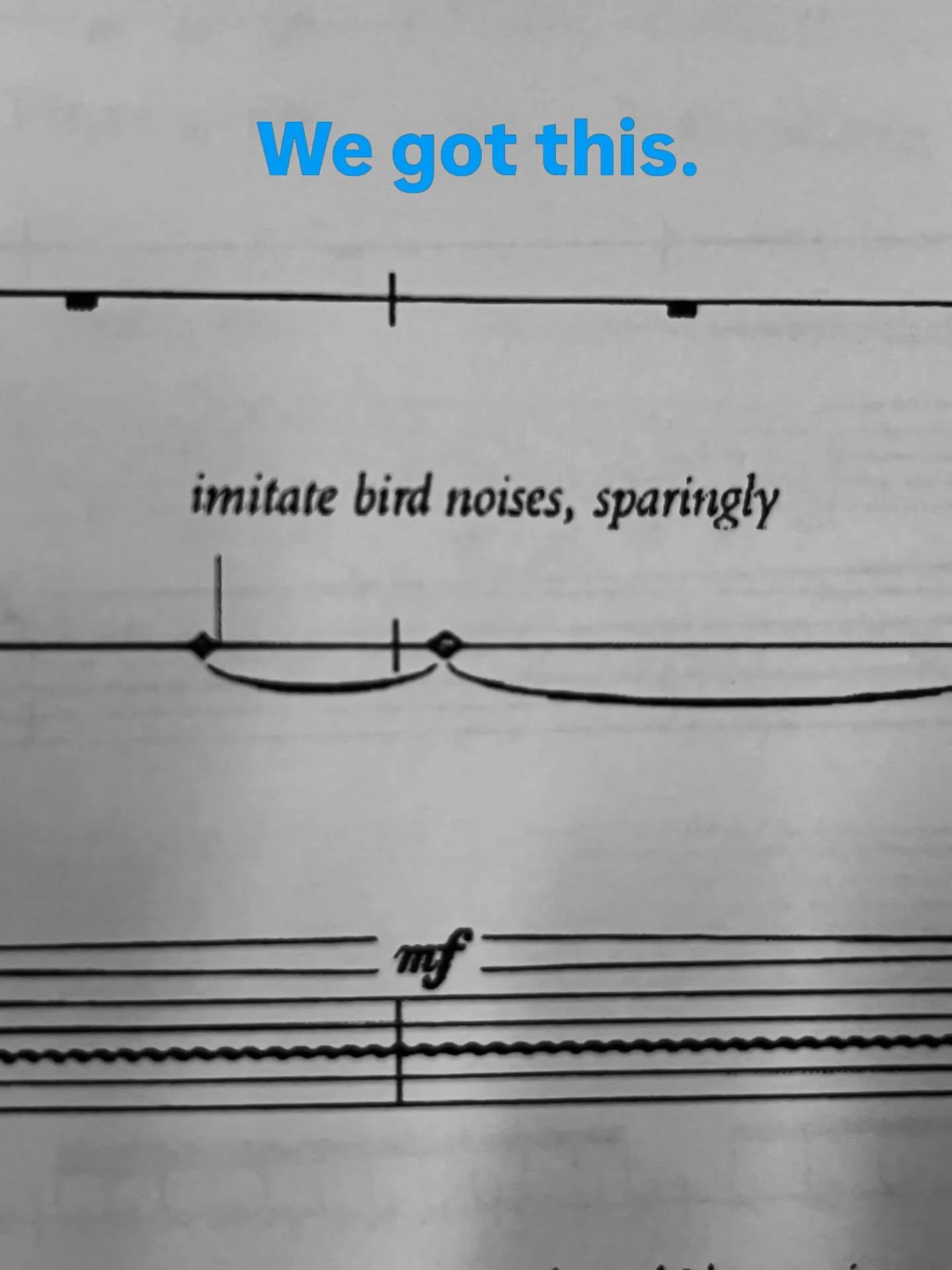 We know just the choir for the job. 💪

Bird noises&mdash;sparingly!&mdash;and other beautiful, thought-provoking music currently taking flight as we prepare for &ldquo;Birds Aren&rsquo;t Real&rdquo; on May 2, including the otherworldly &ldquo;Under-