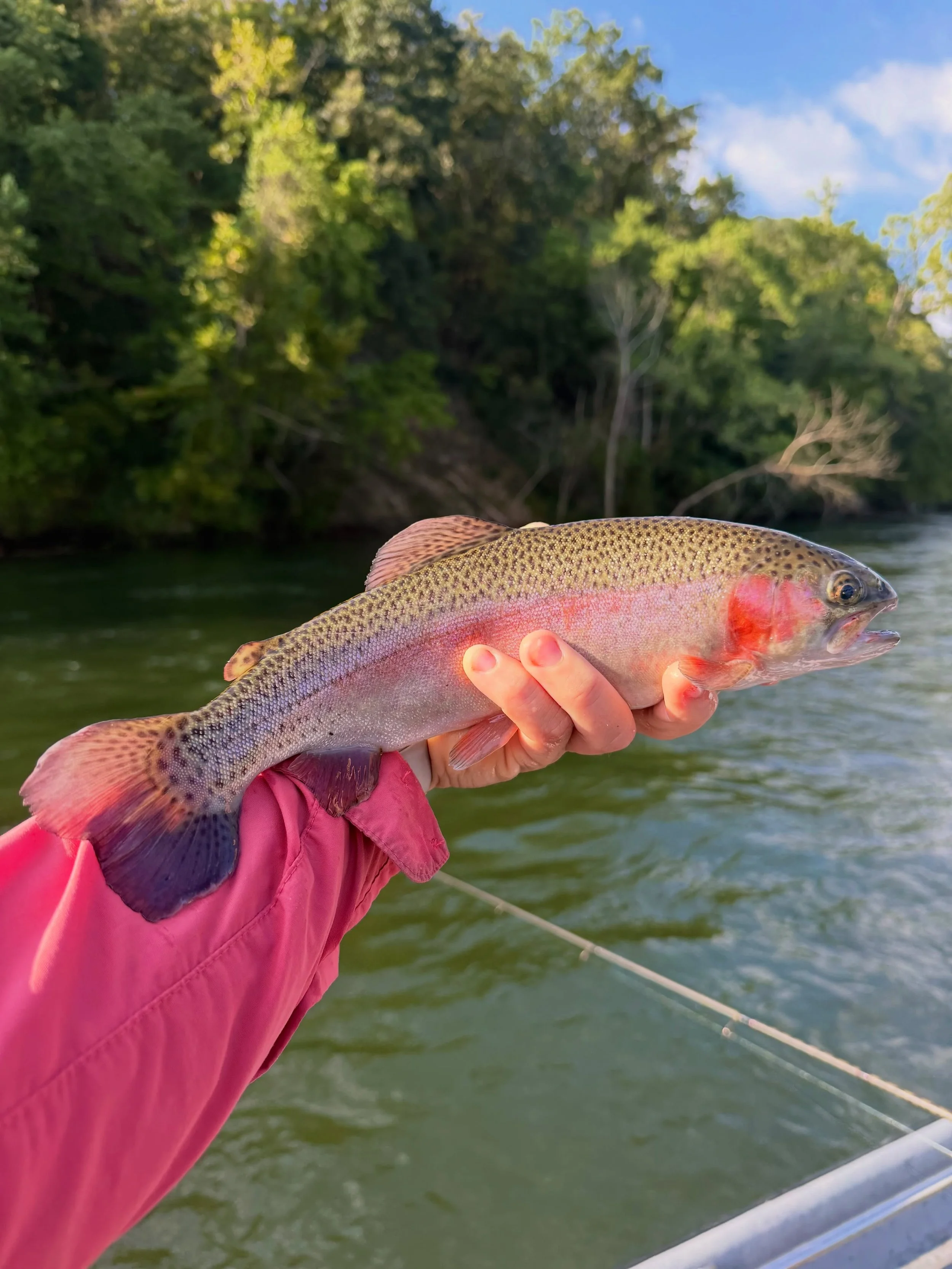 The water is calling, and the trout are biting. 🌊🎣

From vibrant rainbow trout to monster browns, there is nothing like a morning on the river with our experienced guides or heading out from the boat dock in the Jon boat for a day on the river. 

W