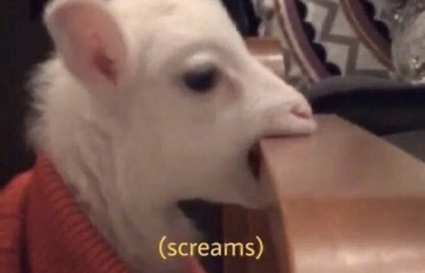 Responding to the Moment