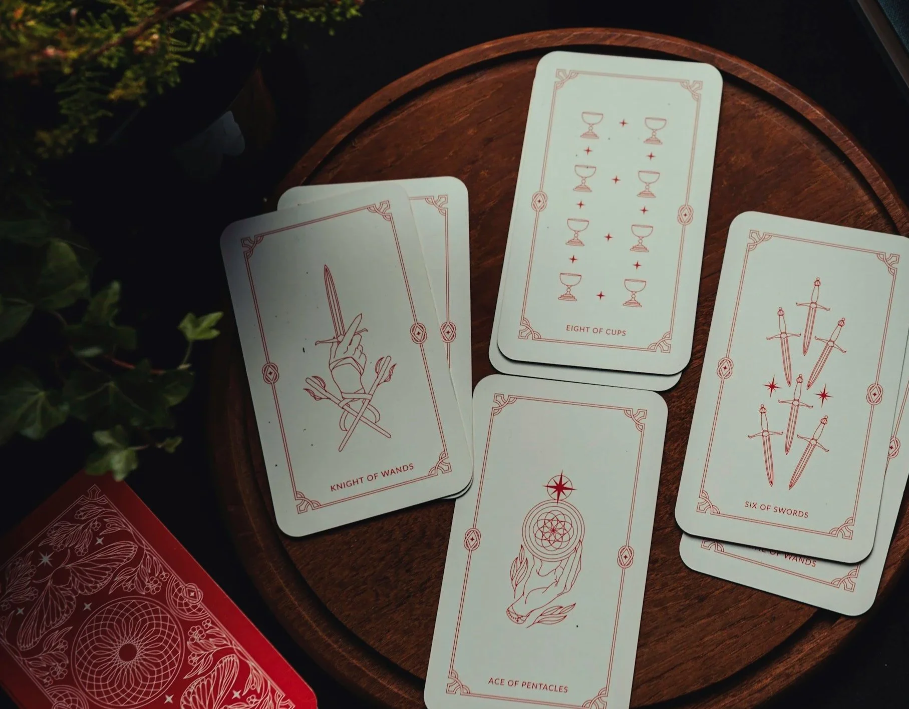 tarot cards depicting a white swan, another card with a black swan, and yet another with a turtle