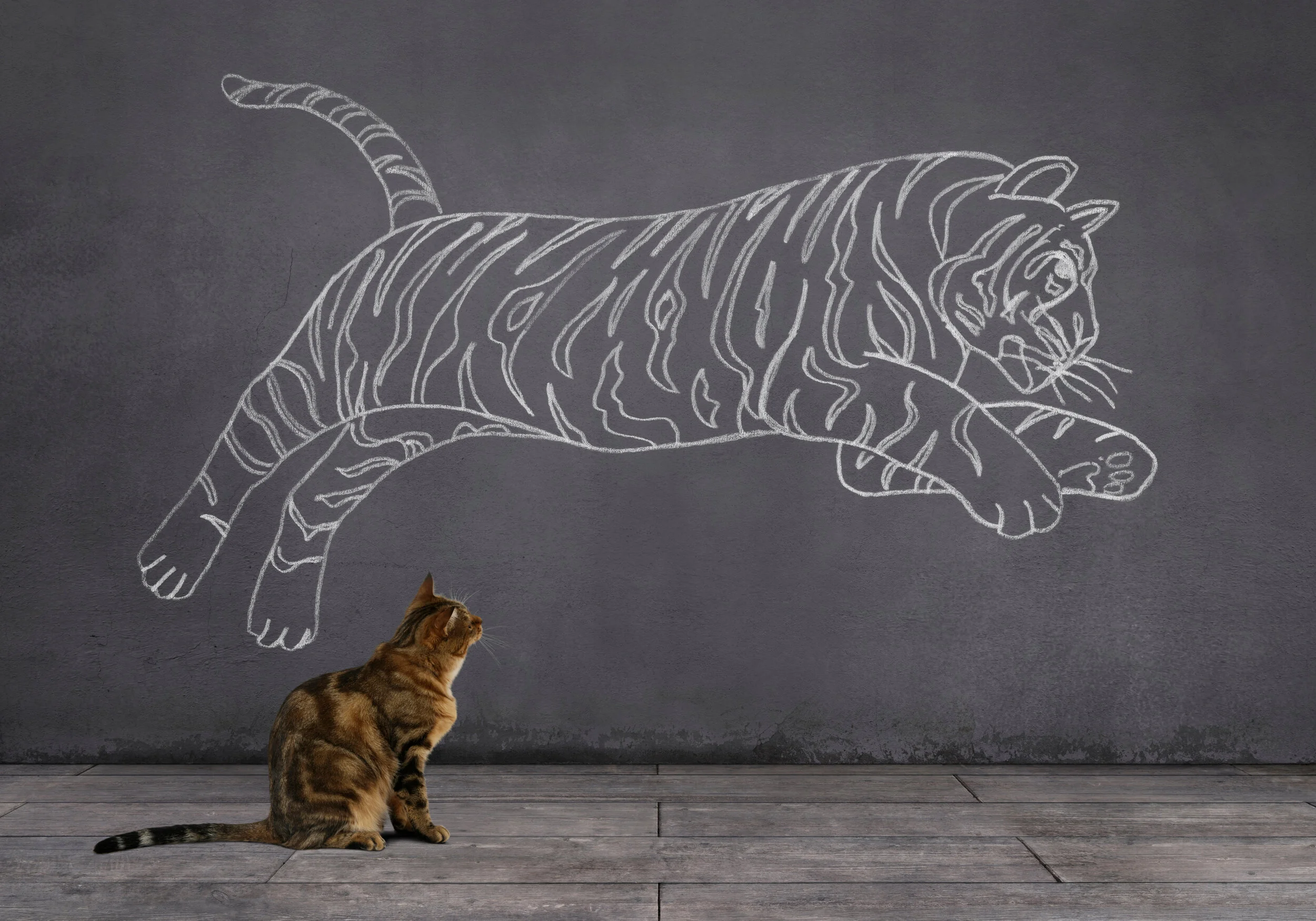 What do you need to unlearn?