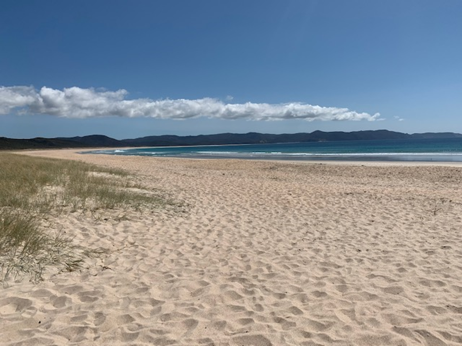 Purposeless Exploring