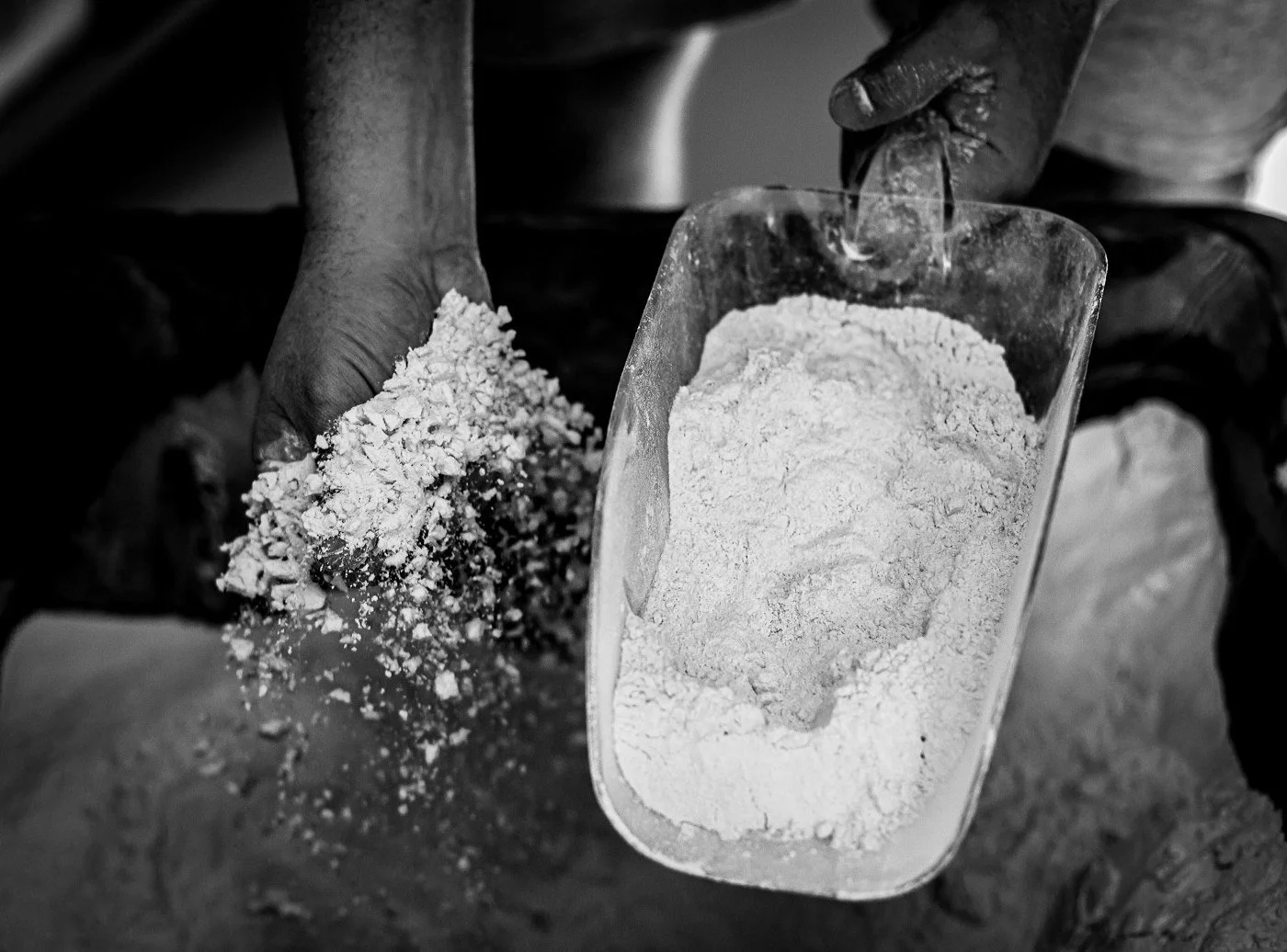 Bakers hands scooping flour