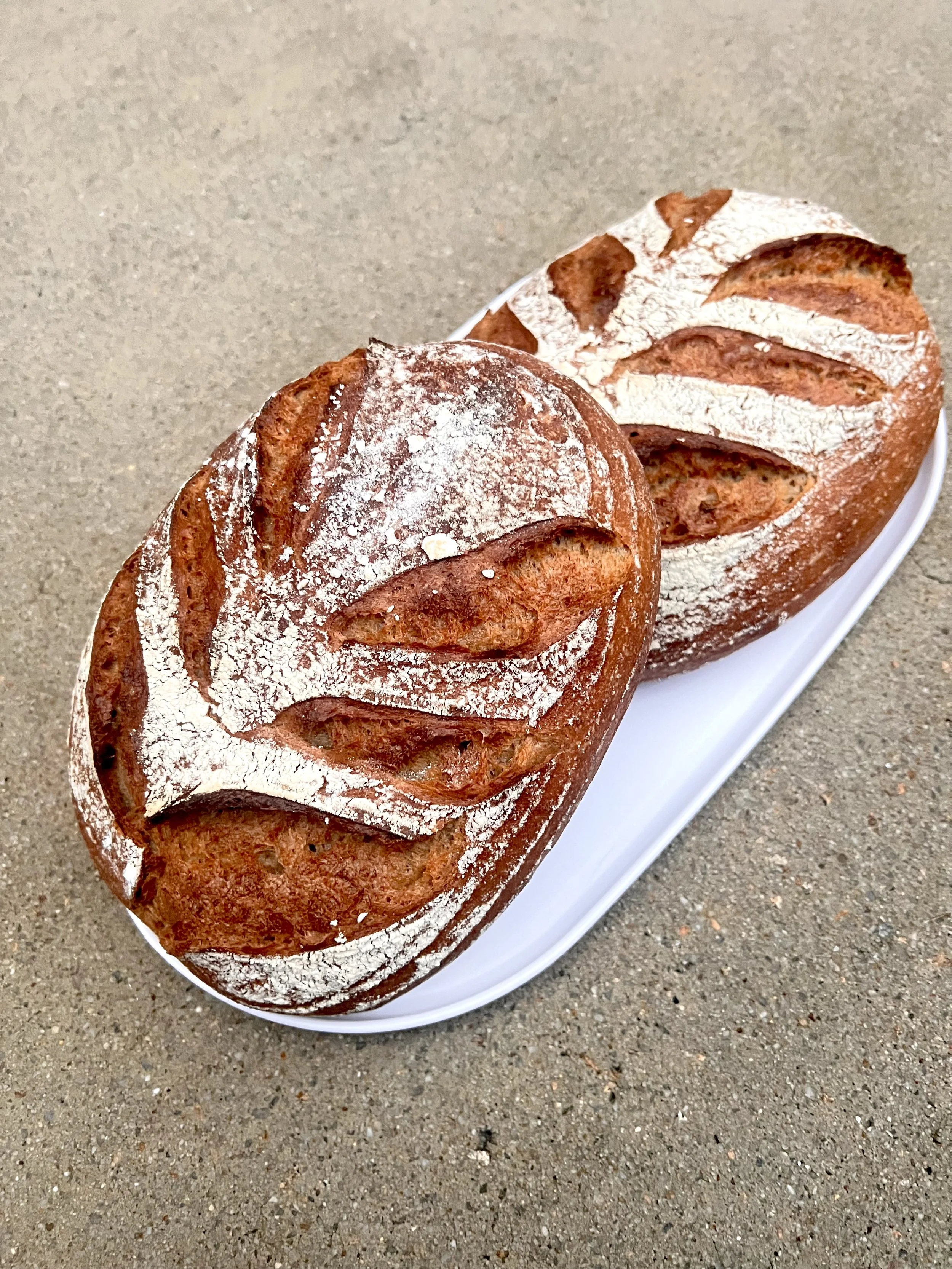 Rye Caraway