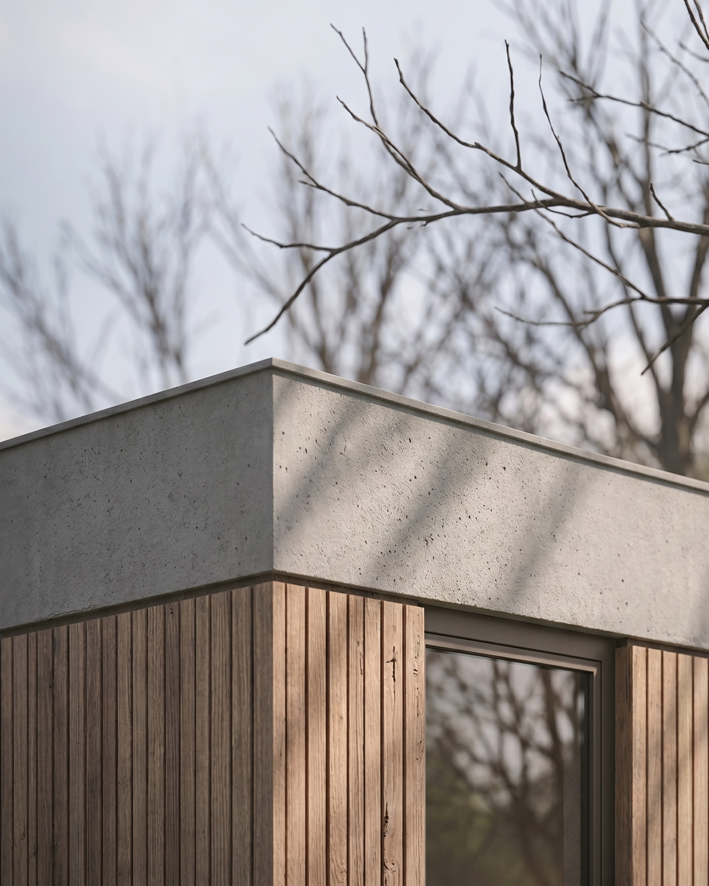 25 955 - detail gevel 2.png