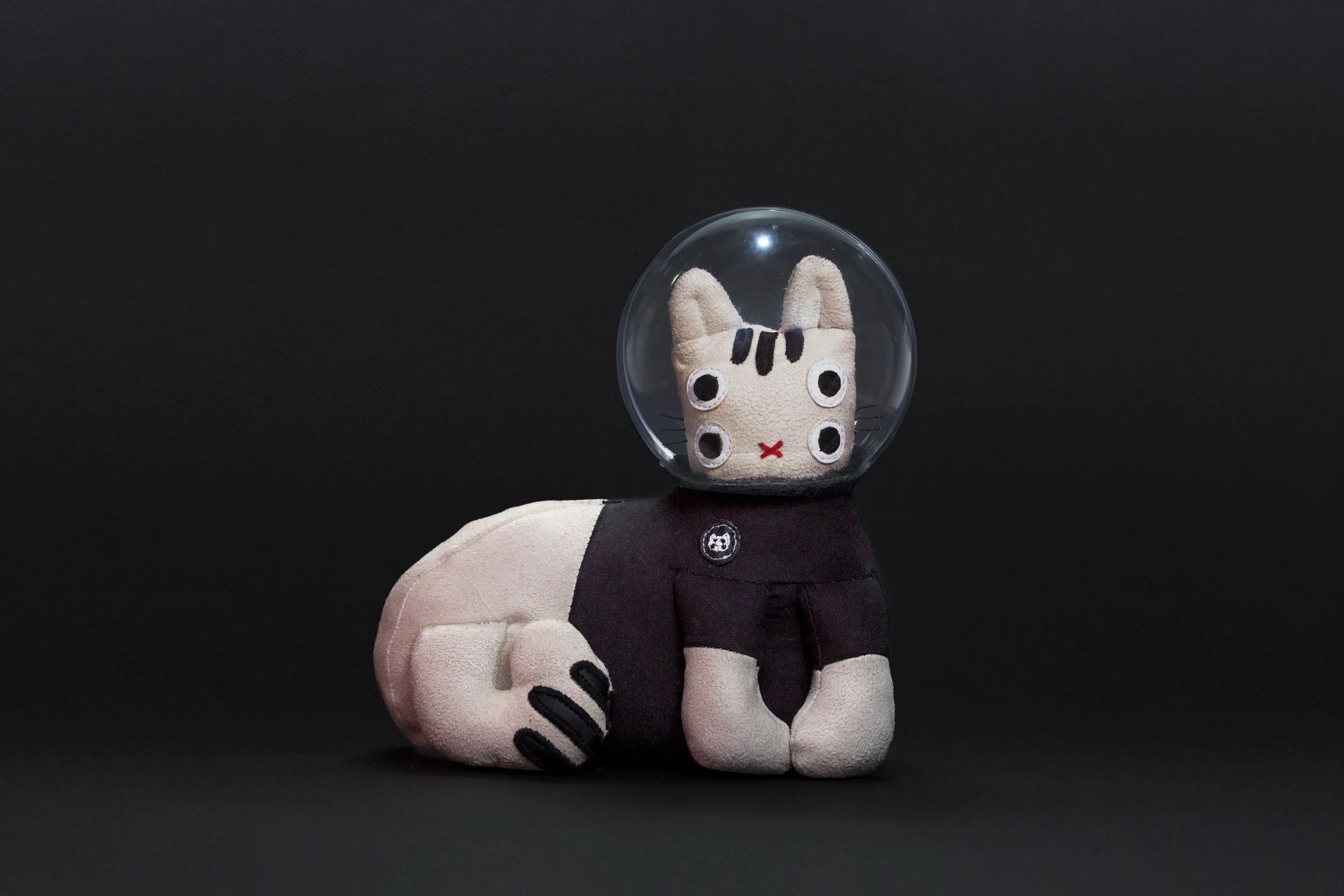 Space Cat.jpg