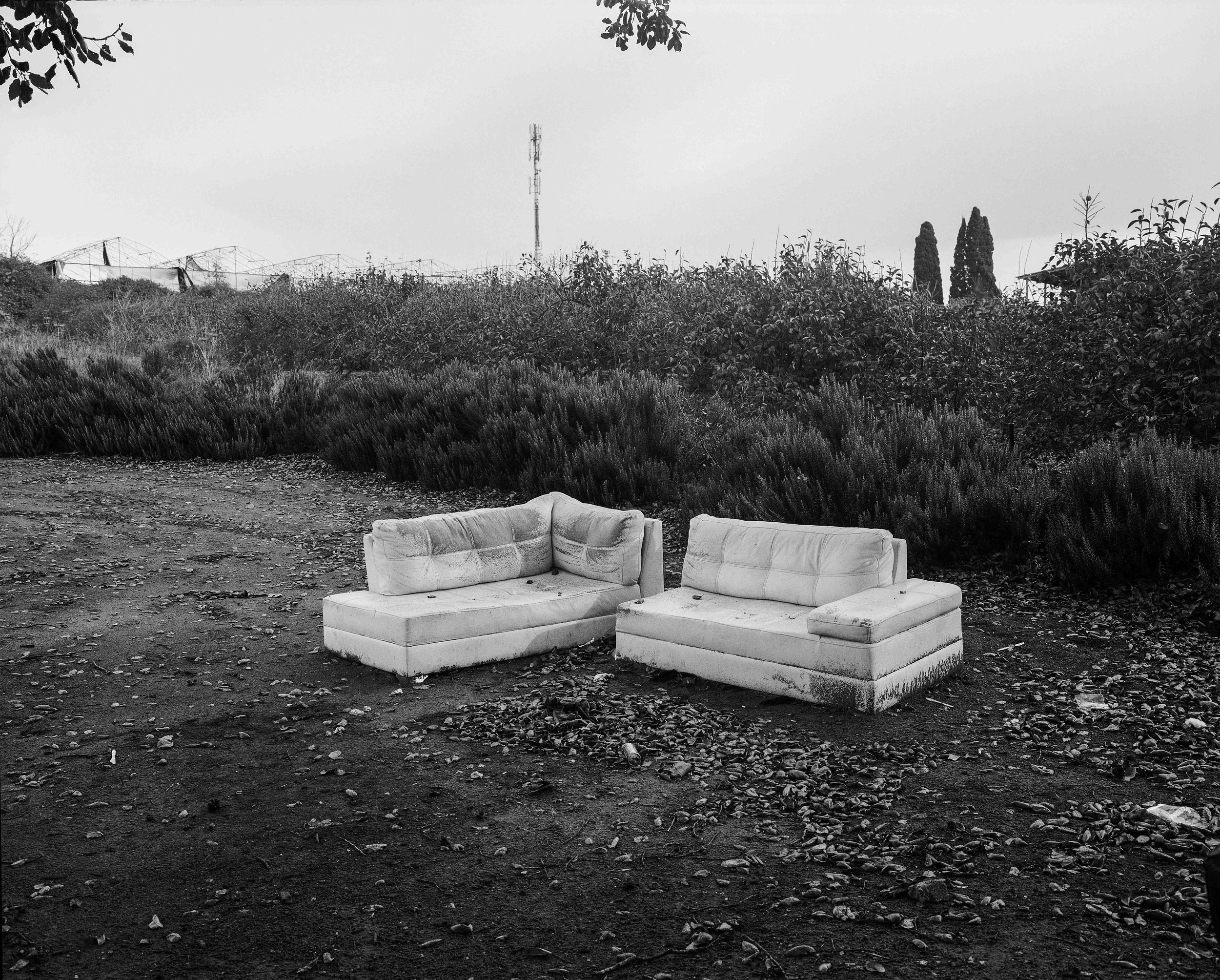 Familiar-15.jpg