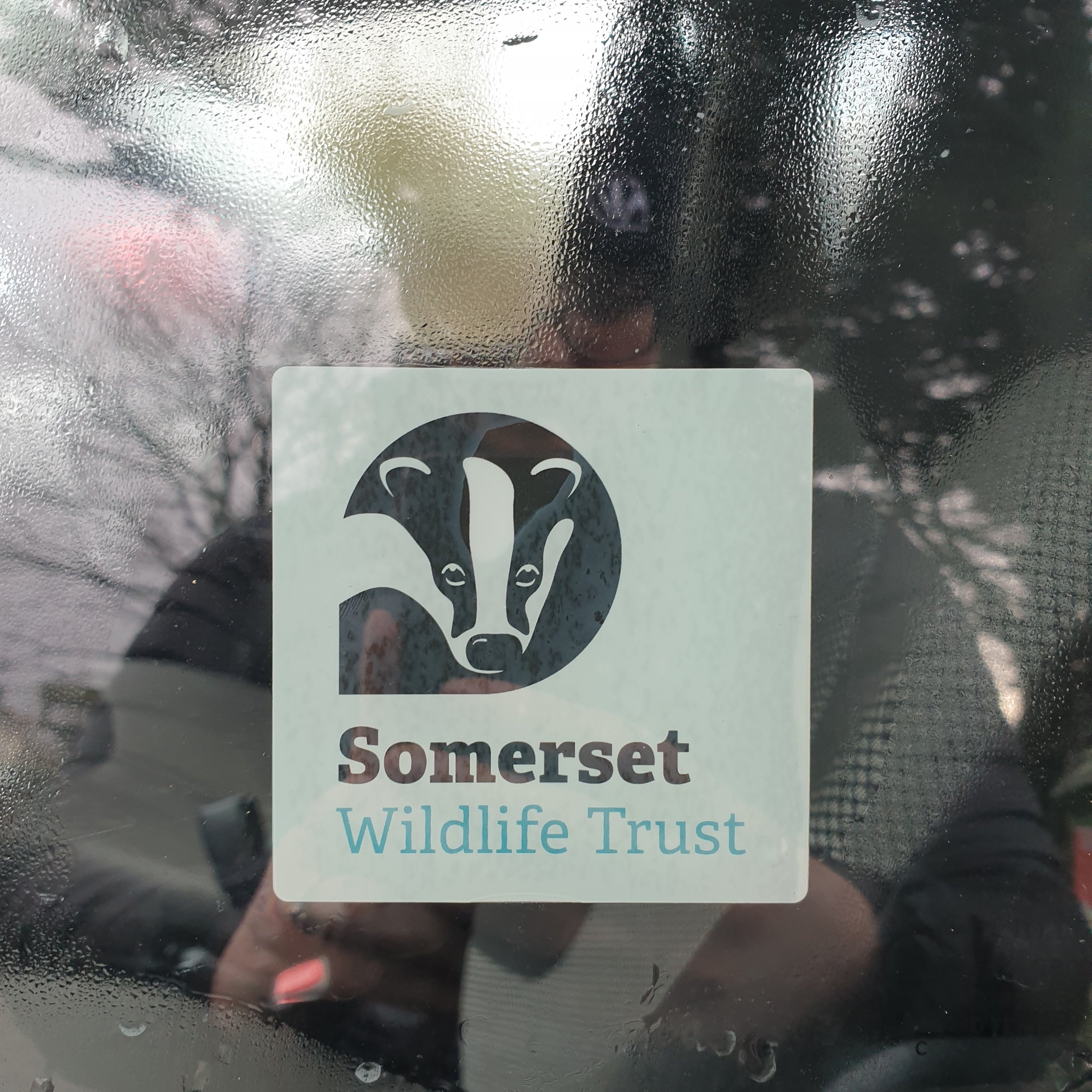 Somerset Wildlife Eco Friendly Window Stickers