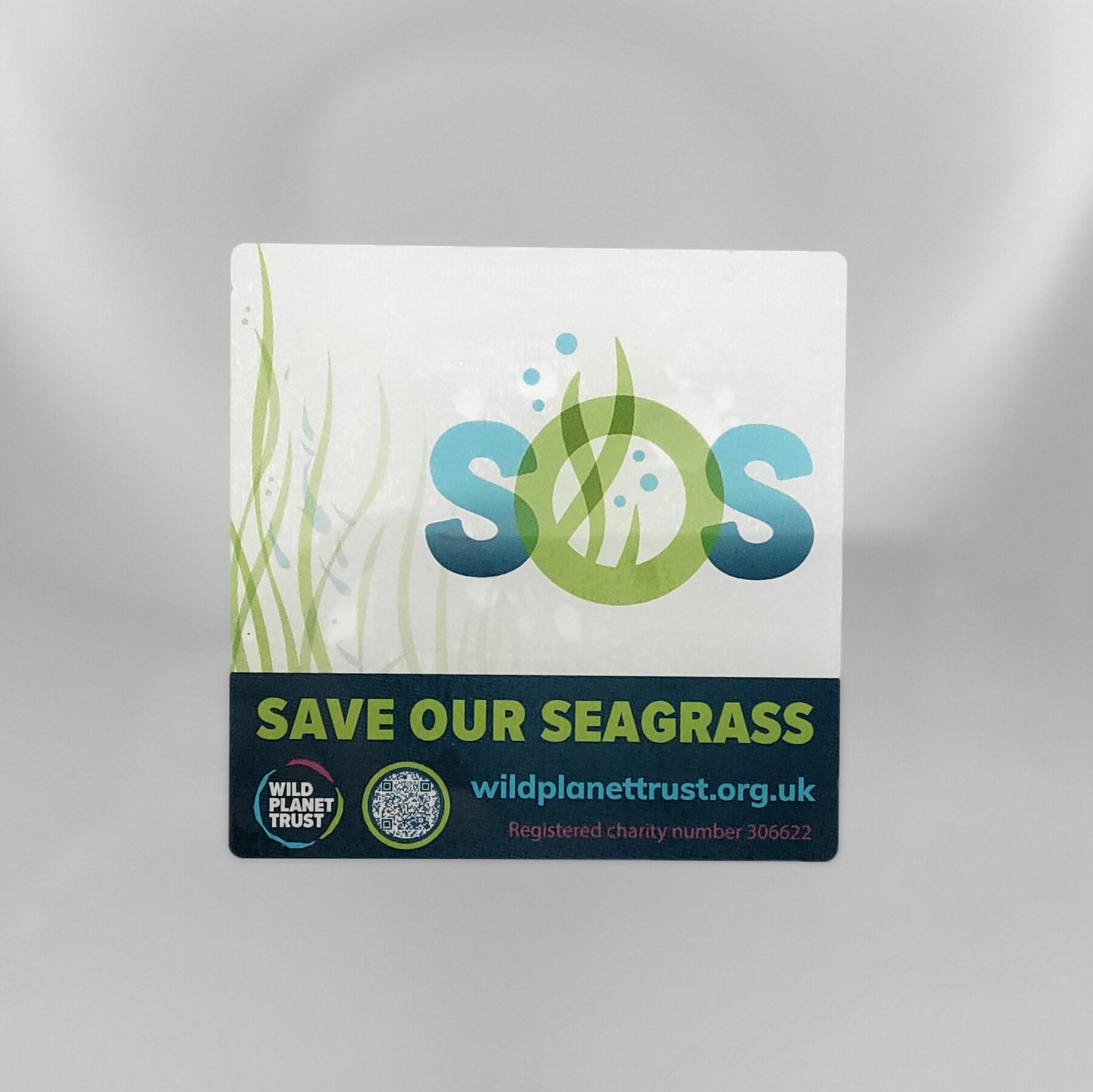 Save Our Seagrass Window Stickers